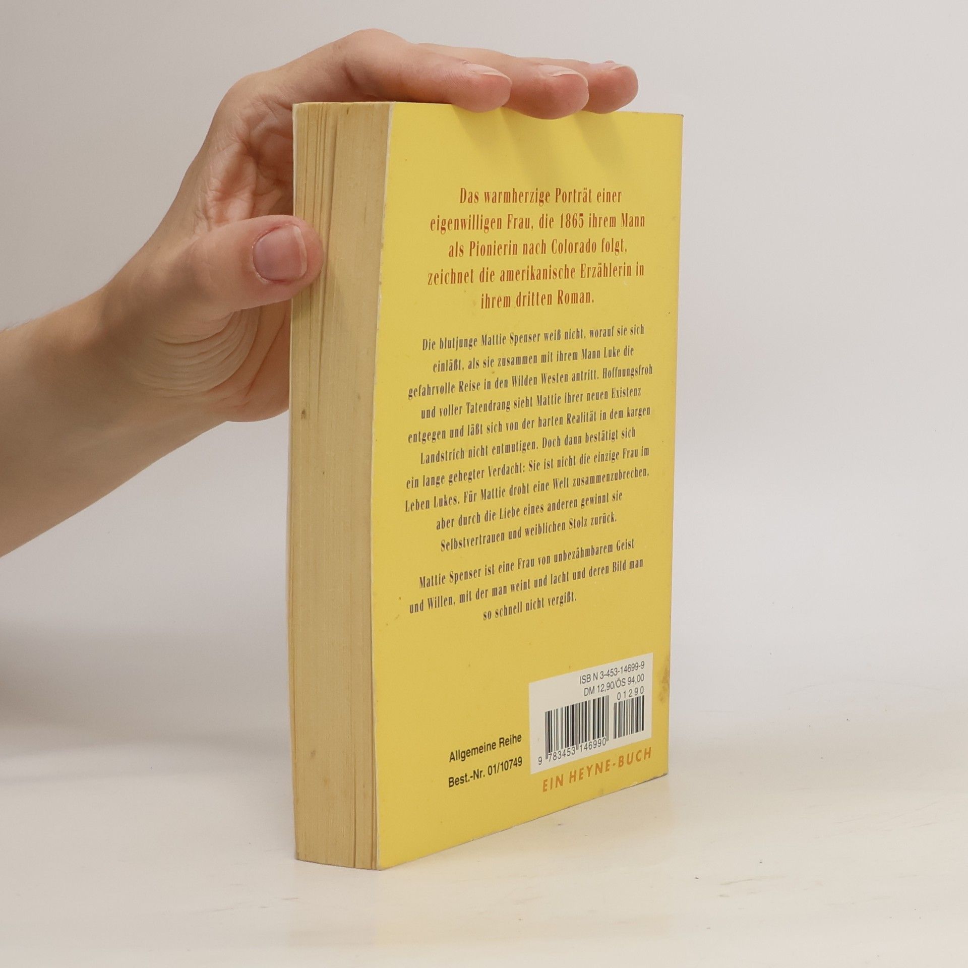 Sandra Dallas Das Tagebuch der Mattie Spenser