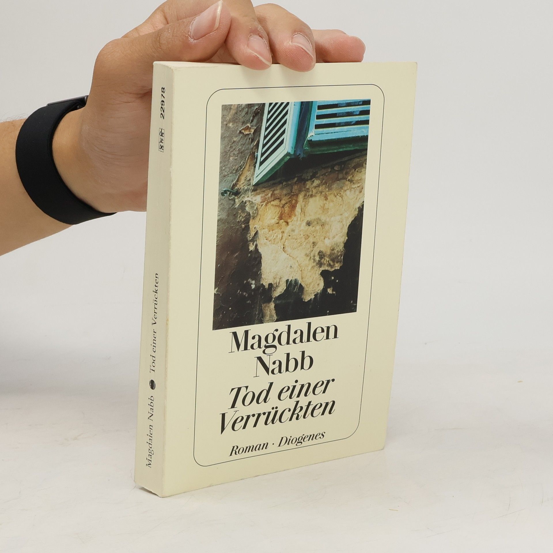 Magdalen Nabb Tod einer Verrückten