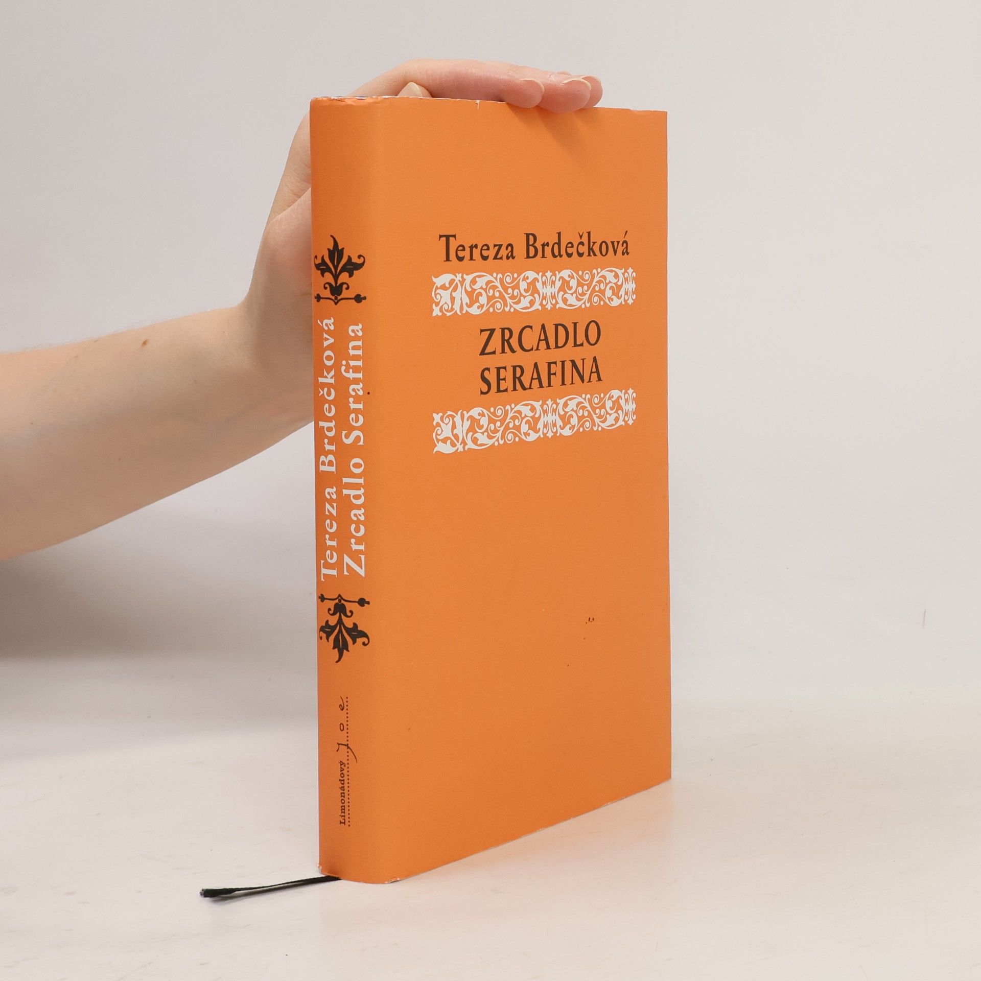 Tereza Brdečková Zrcadlo Serafina