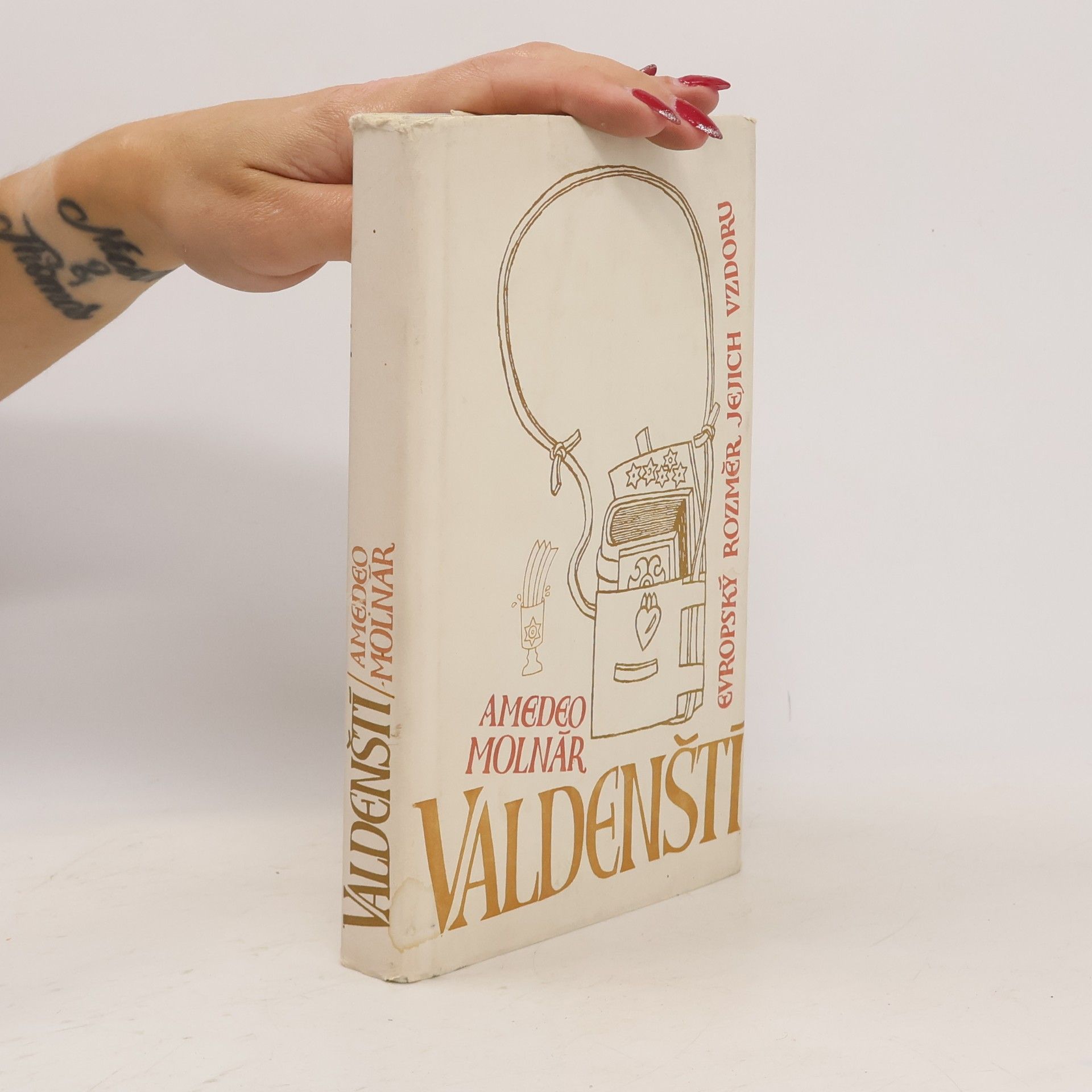 Amedeo Molnár Valdenští. Evropský rozměr jejich vzdoru