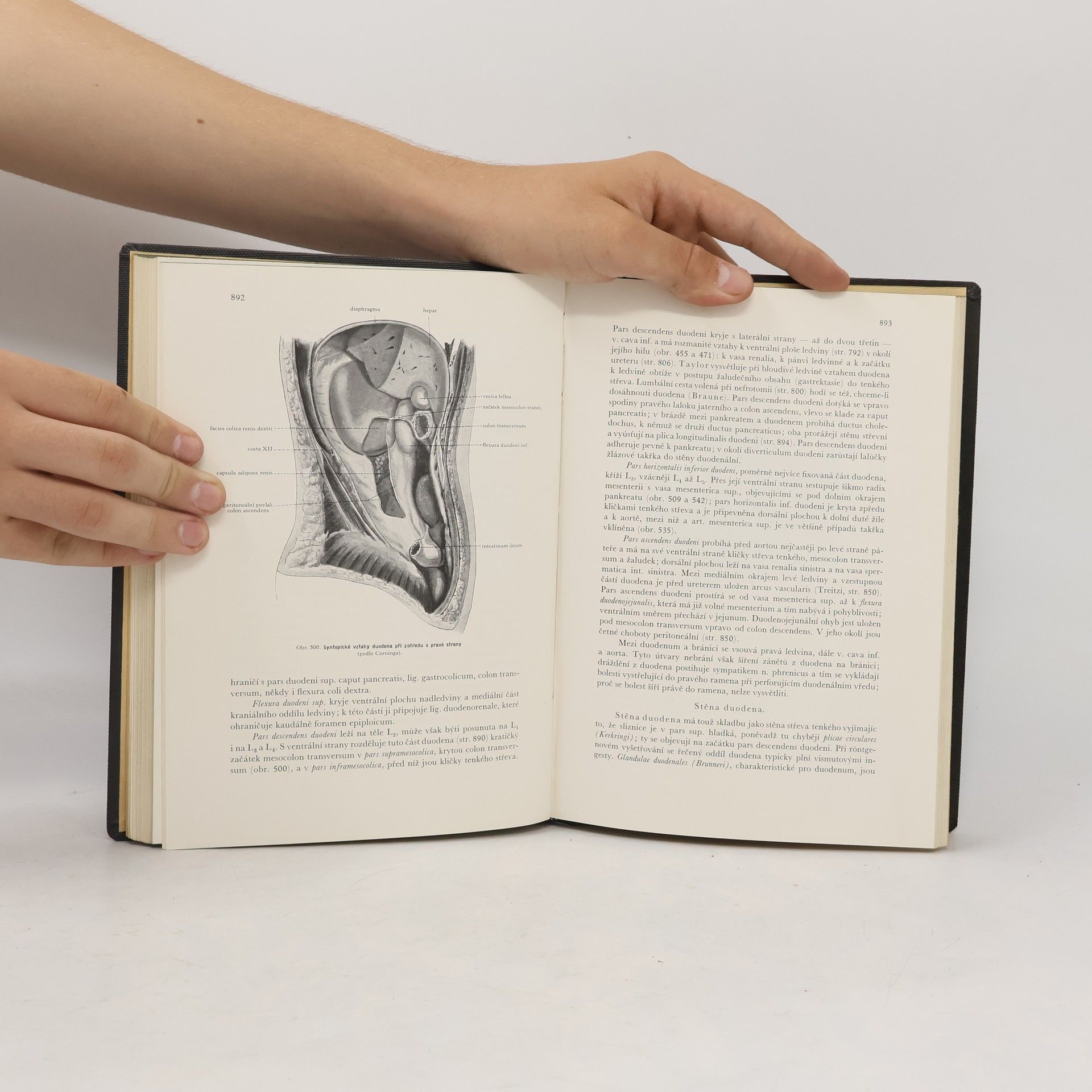 Karel Weigner Topografická anatomie III.