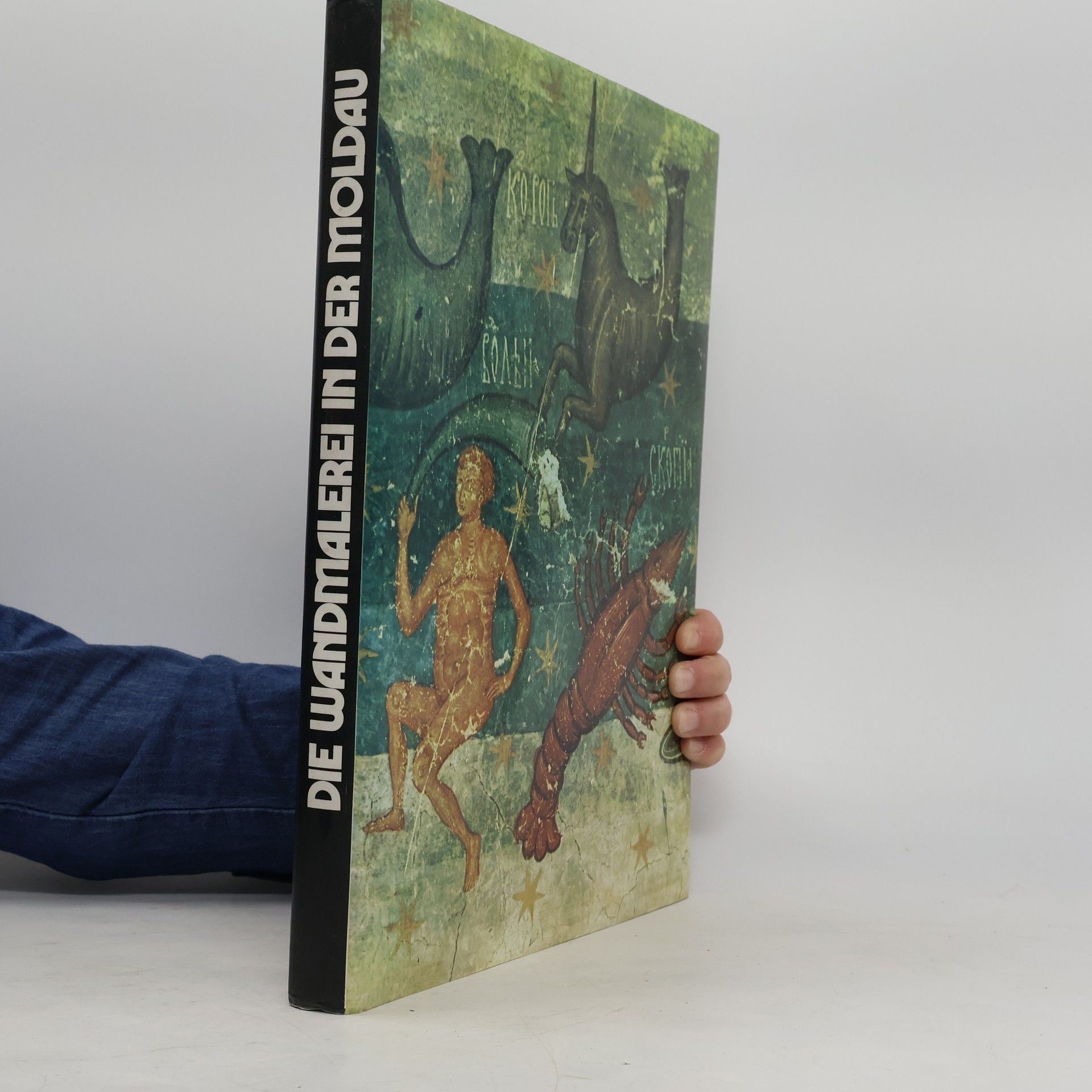 Hans Müller Die Wandmalerei in der Moldau