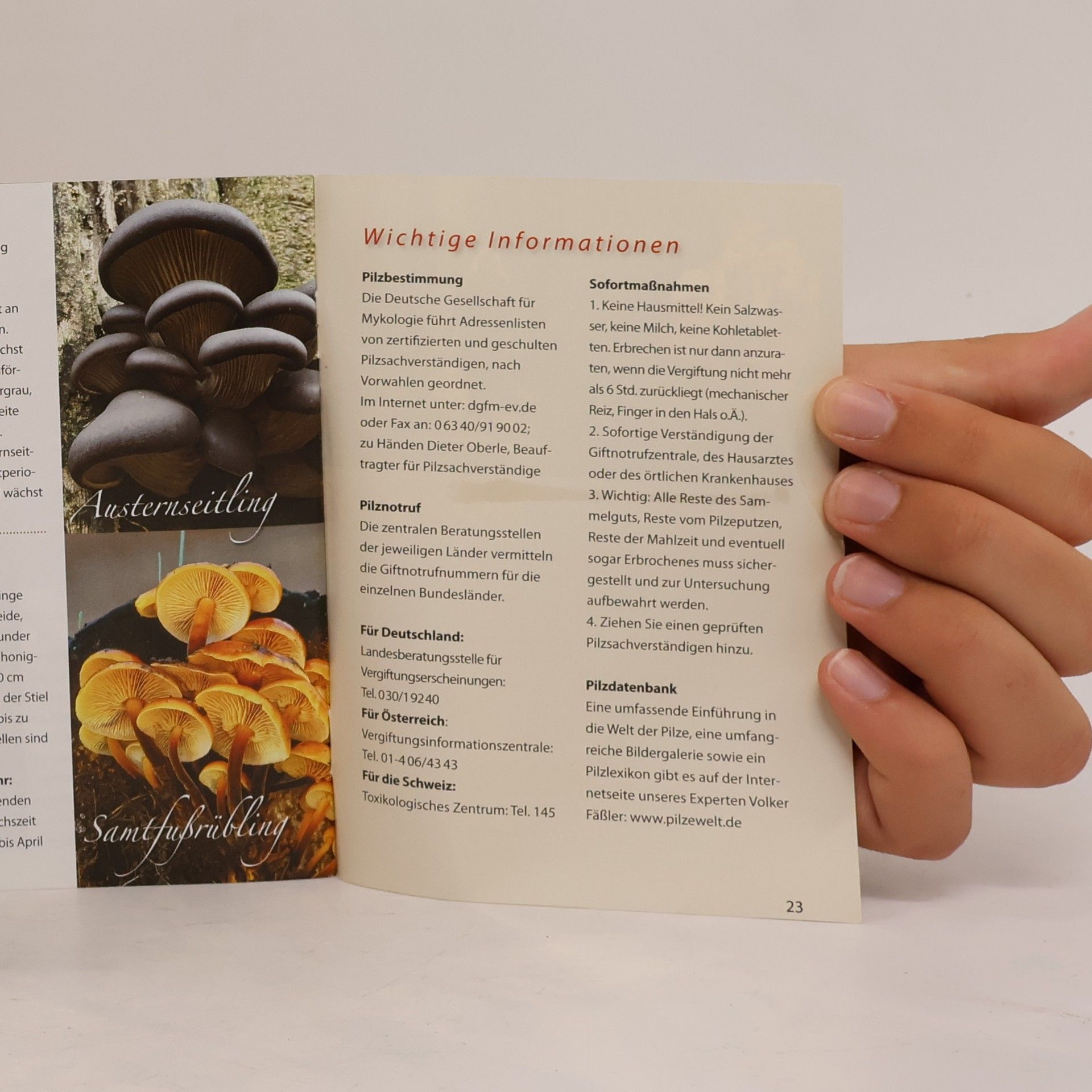Autorenkollektiv Pilze