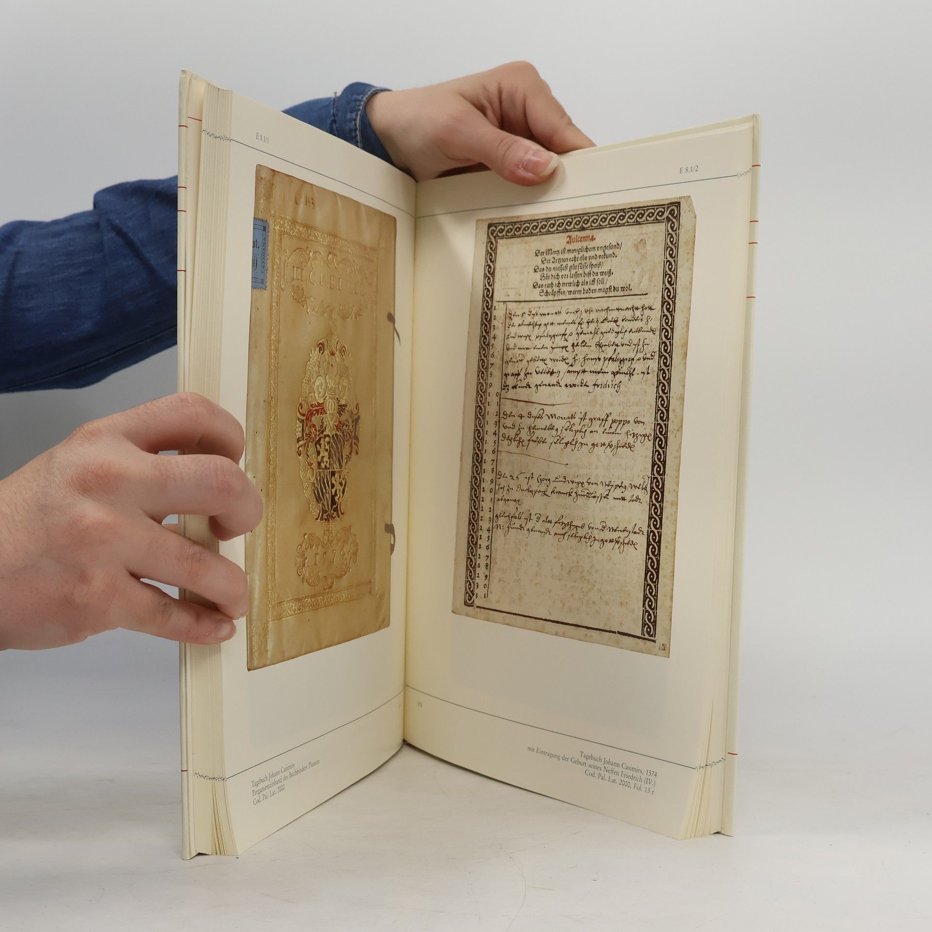 Autorenkollektiv Bibliotheca Palatina. Bildband
