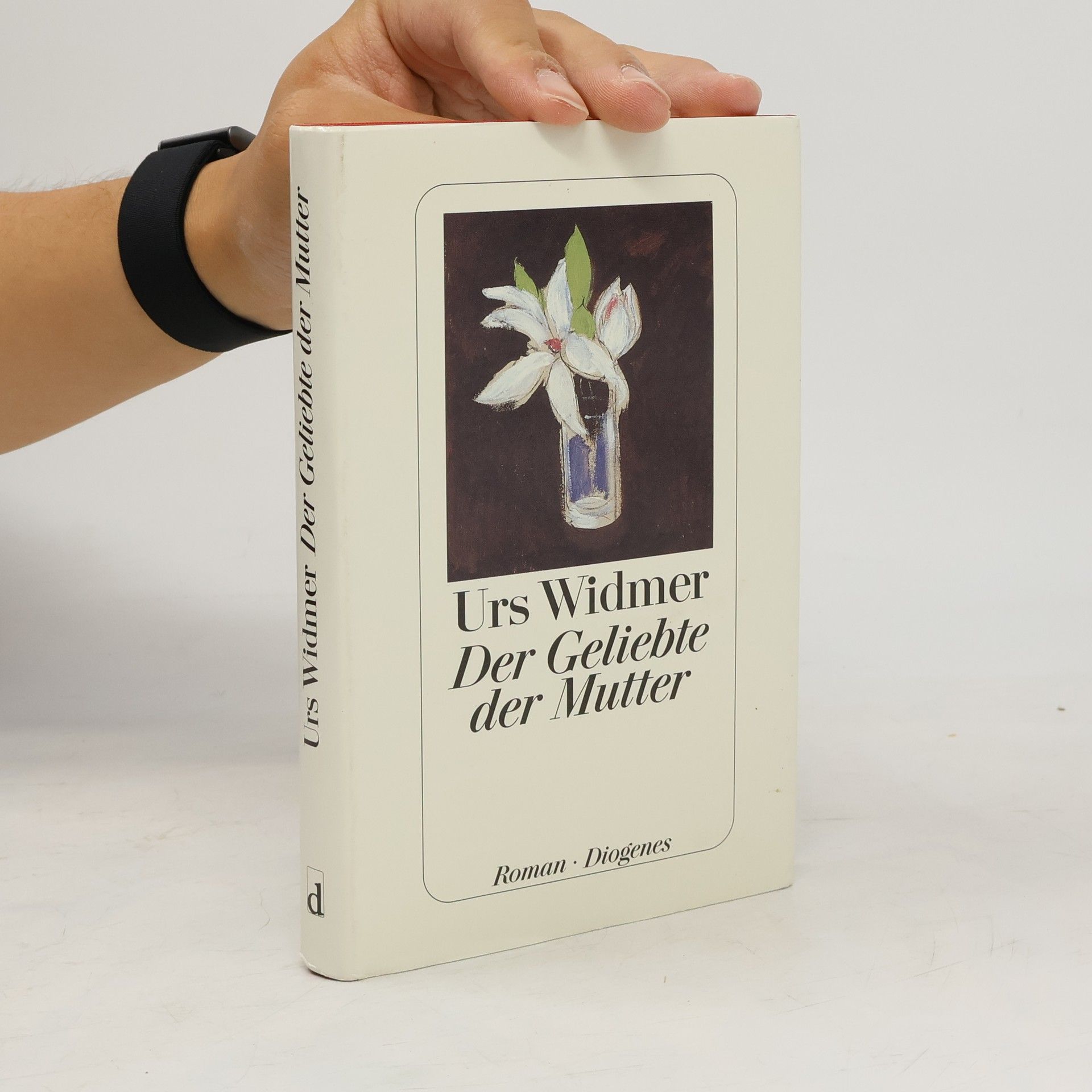 Urs Widmer Der Geliebte der Mutter