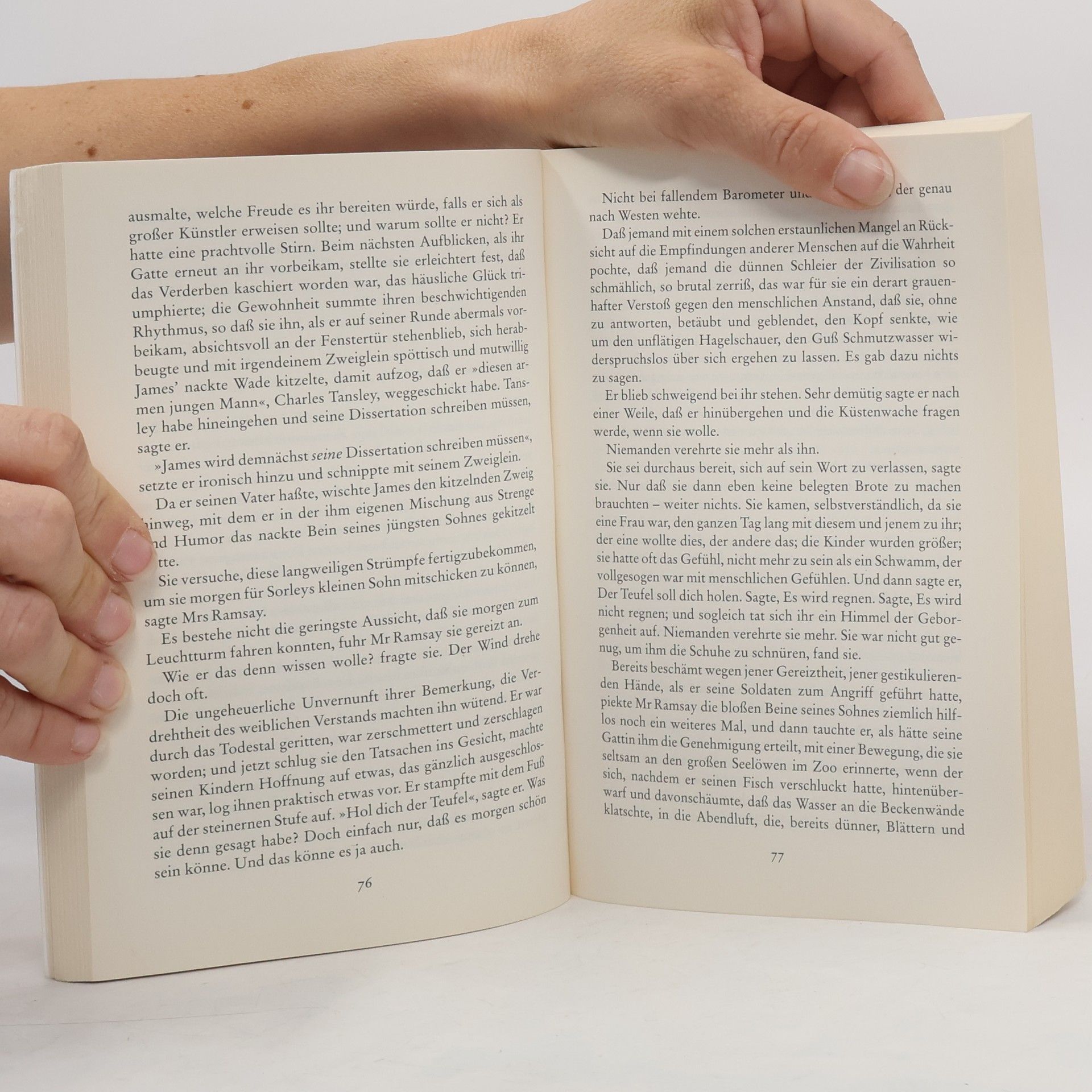 Virginia Woolf Fischer Klassik: Zum Leuchtturm