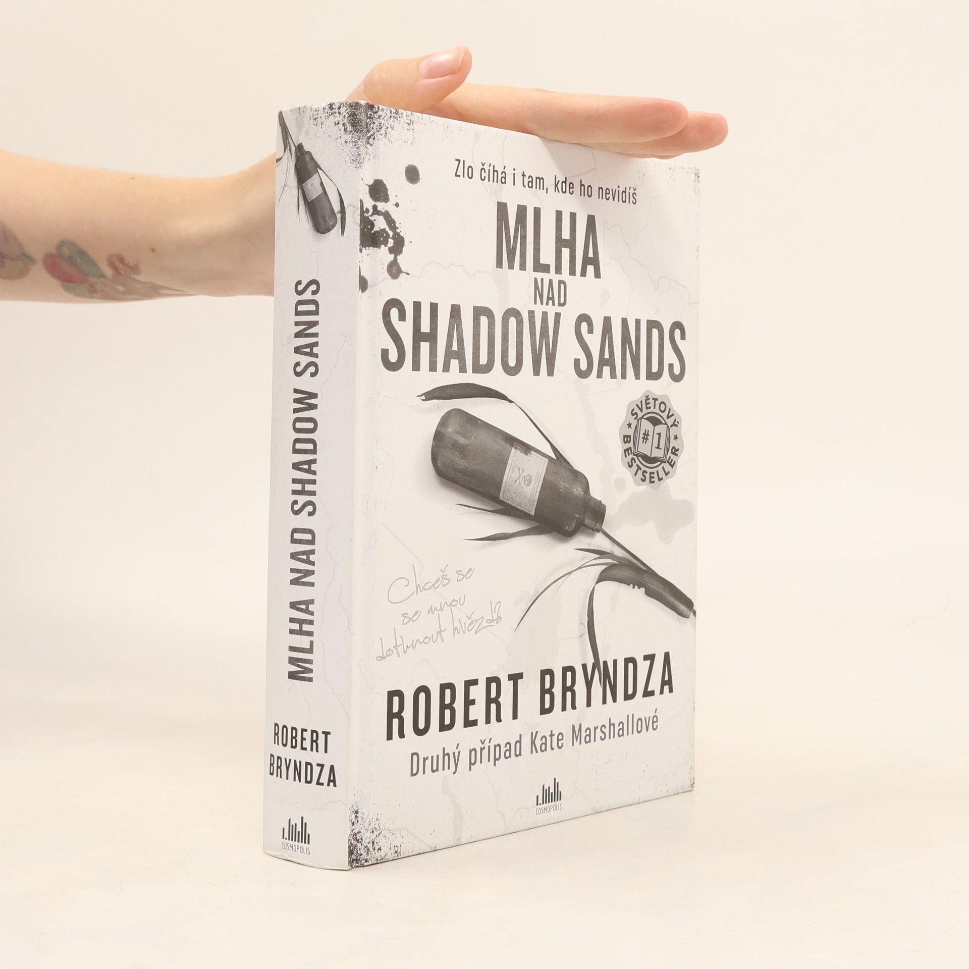 Robert Bryndza Mlha nad Shadow Sands