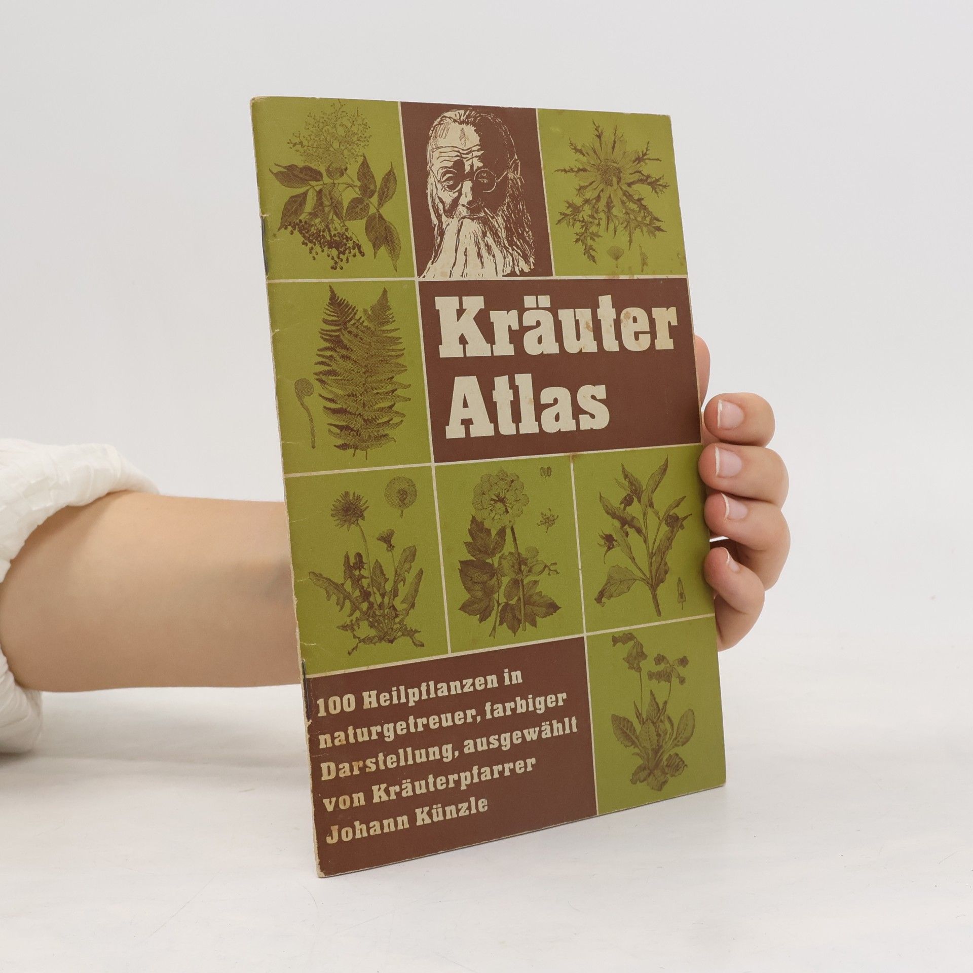 Autorenkollektiv Kräuter Atlas