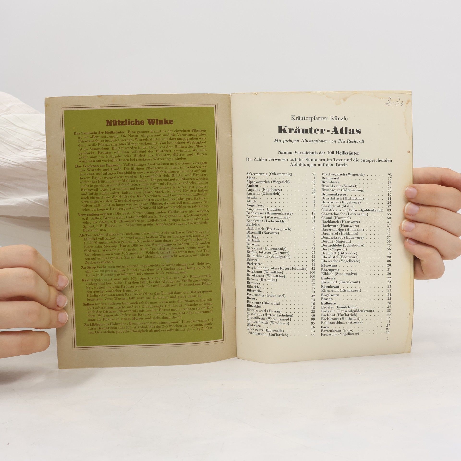 Autorenkollektiv Kräuter Atlas