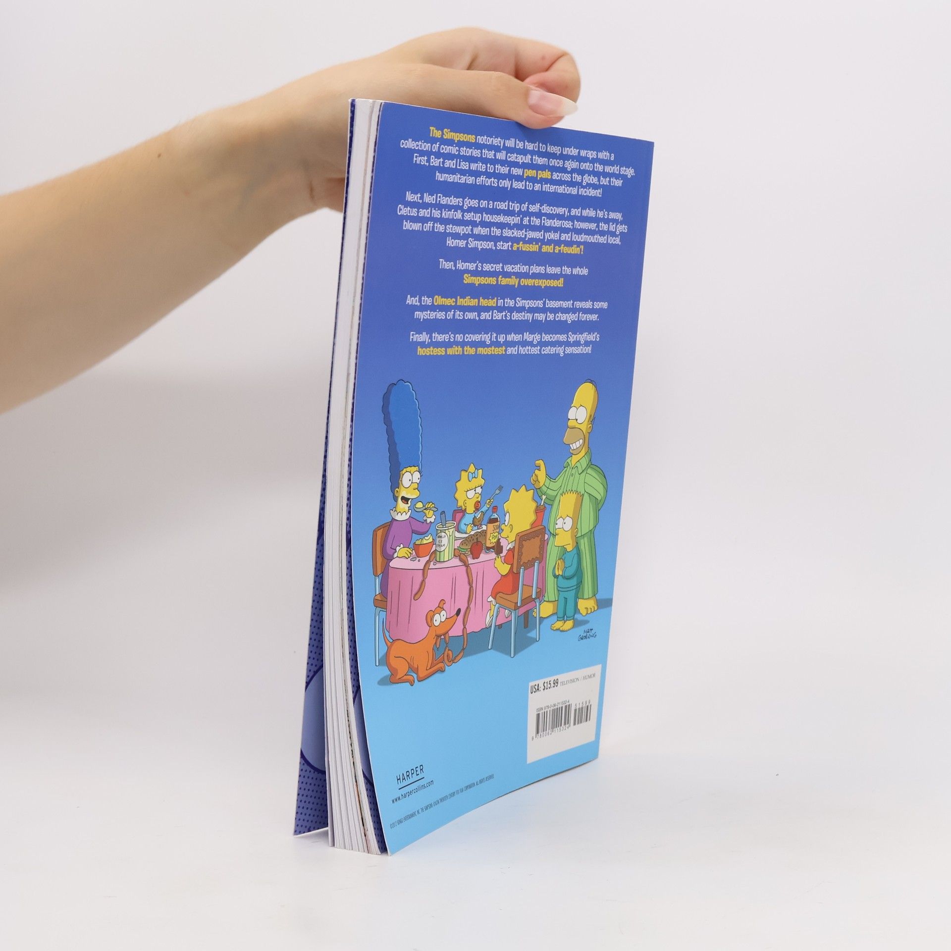 Matt Groening Simpsons Comics Confidential