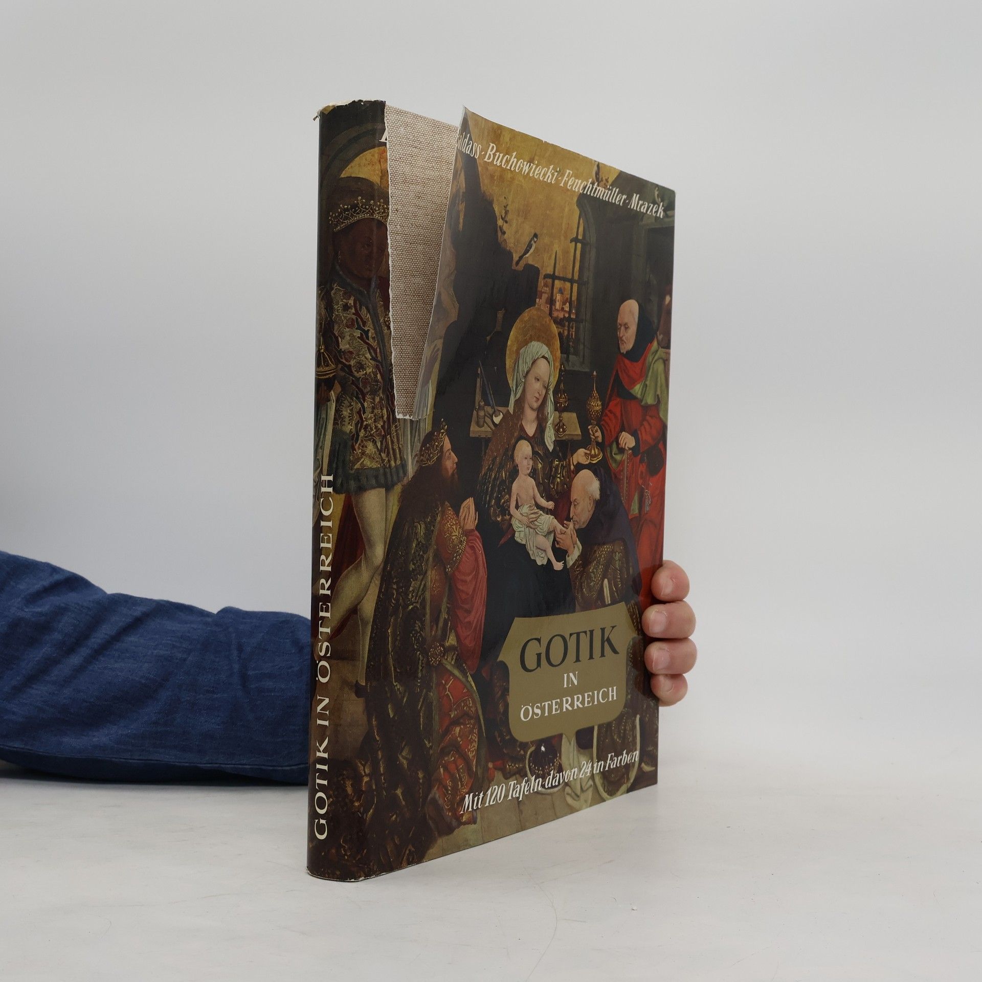 Autorenkollektiv Gotik in Österreich