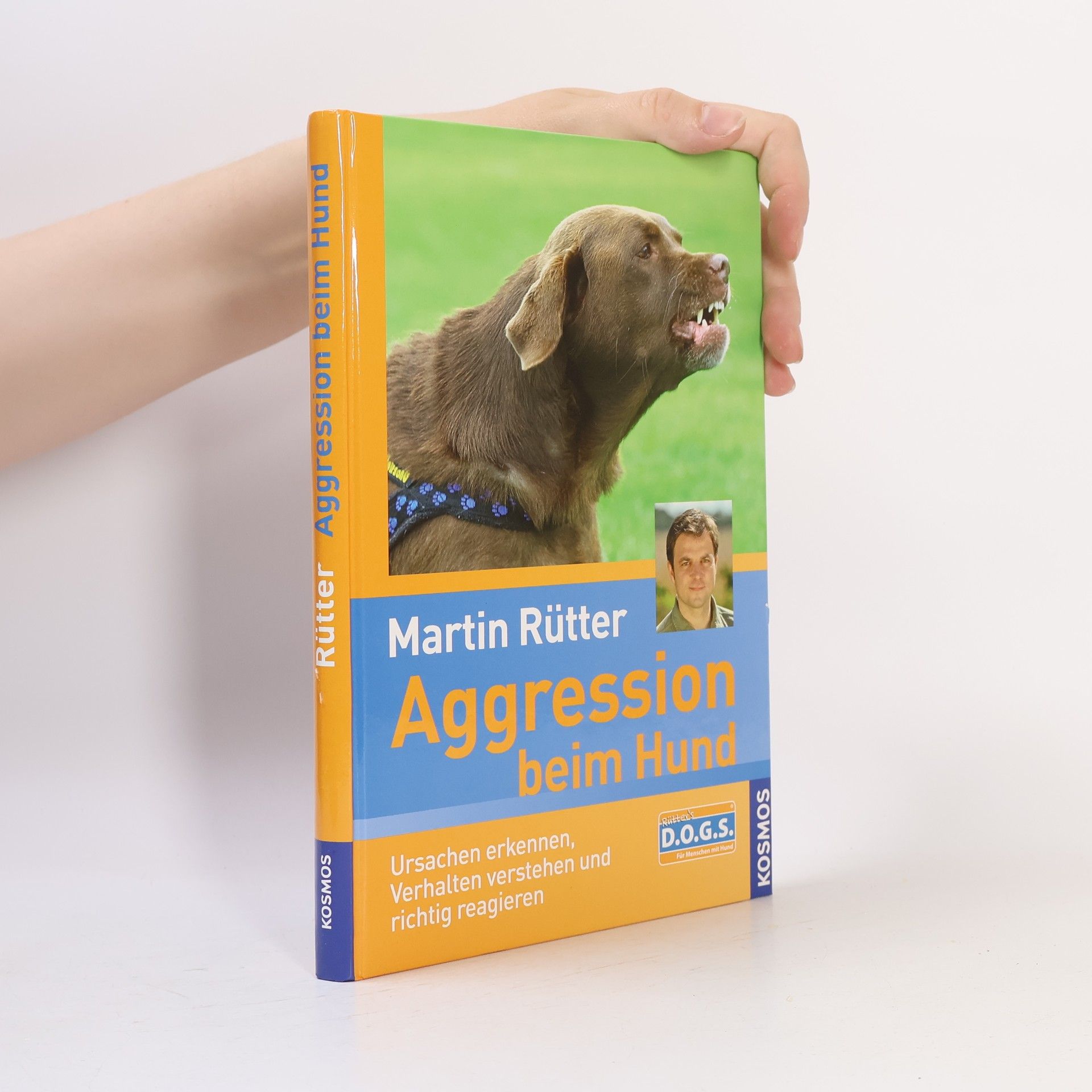 Aggression beim Hund