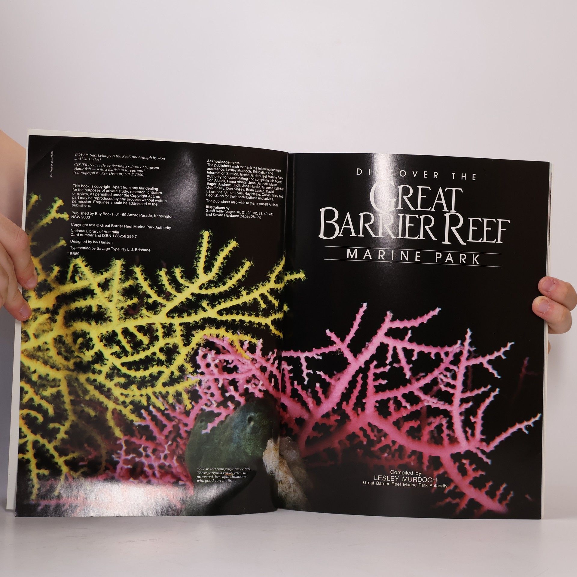 Lesley Murdoch Discover the Great Barrier Reef Marine Park