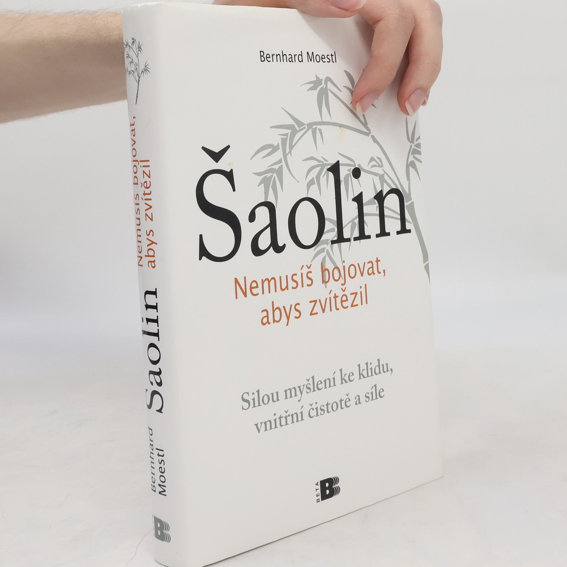 Bernhard Moestl Šaolin: Nemusíš bojovat, abys zvítězil