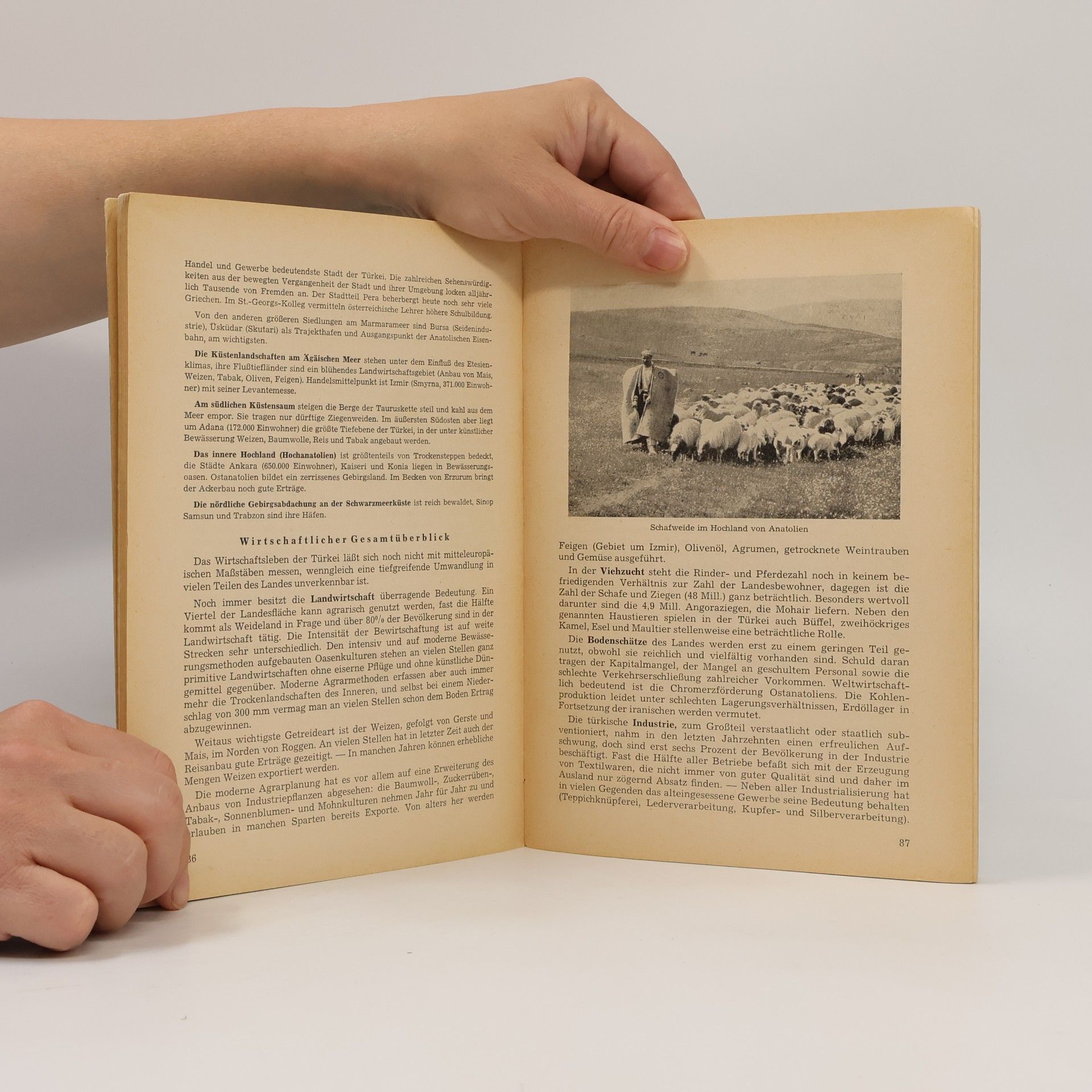Anton Ebner Lehrbuch der Wirtschaftsgeographie : 1. Teil