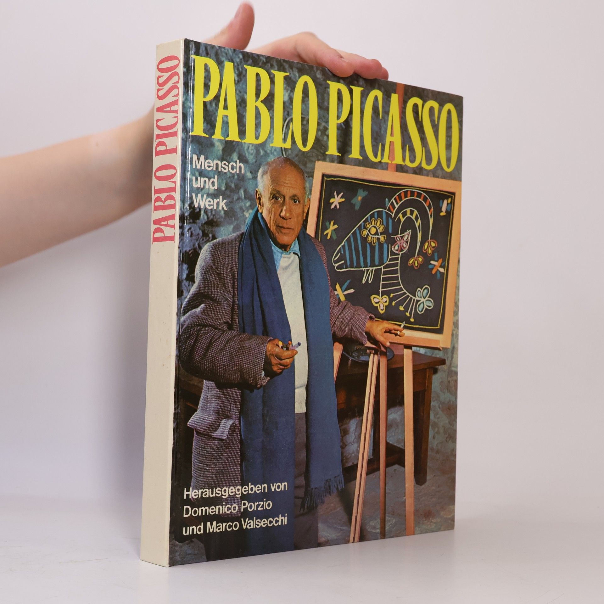 Domenico Porzio Pablo Picasso: Mensch und Werk
