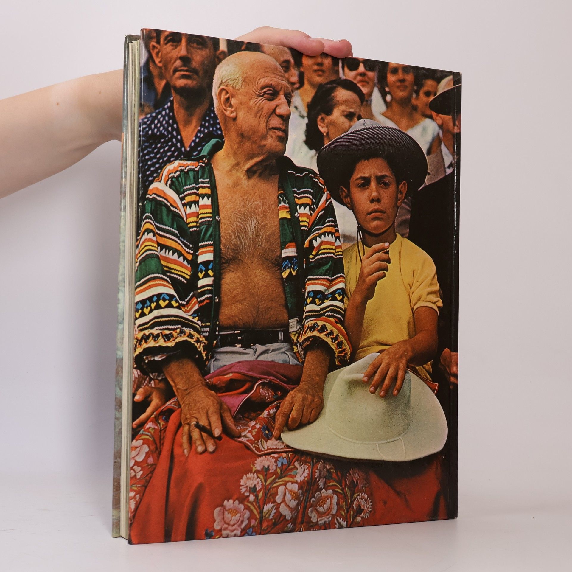 Domenico Porzio Pablo Picasso: Mensch und Werk