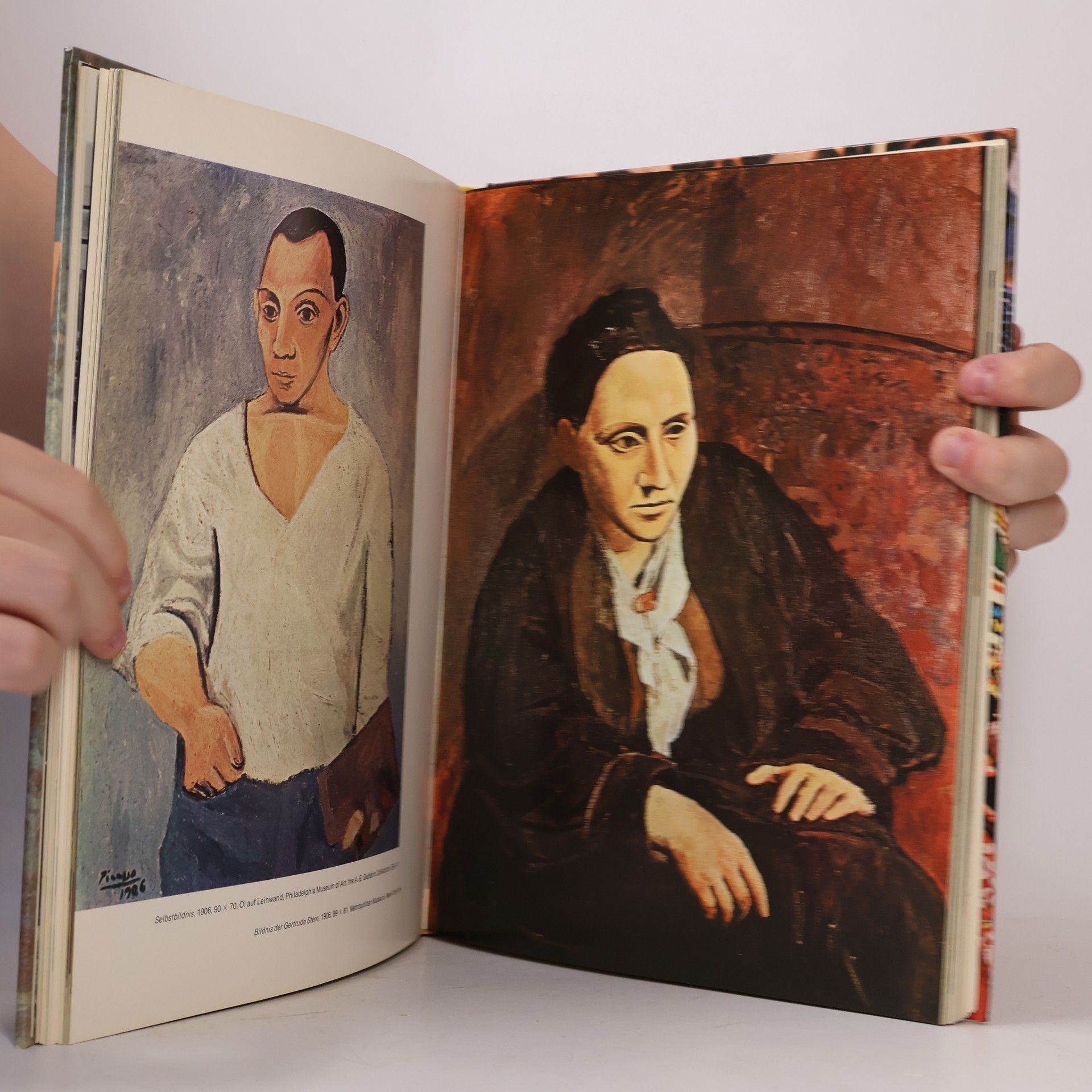 Domenico Porzio Pablo Picasso: Mensch und Werk
