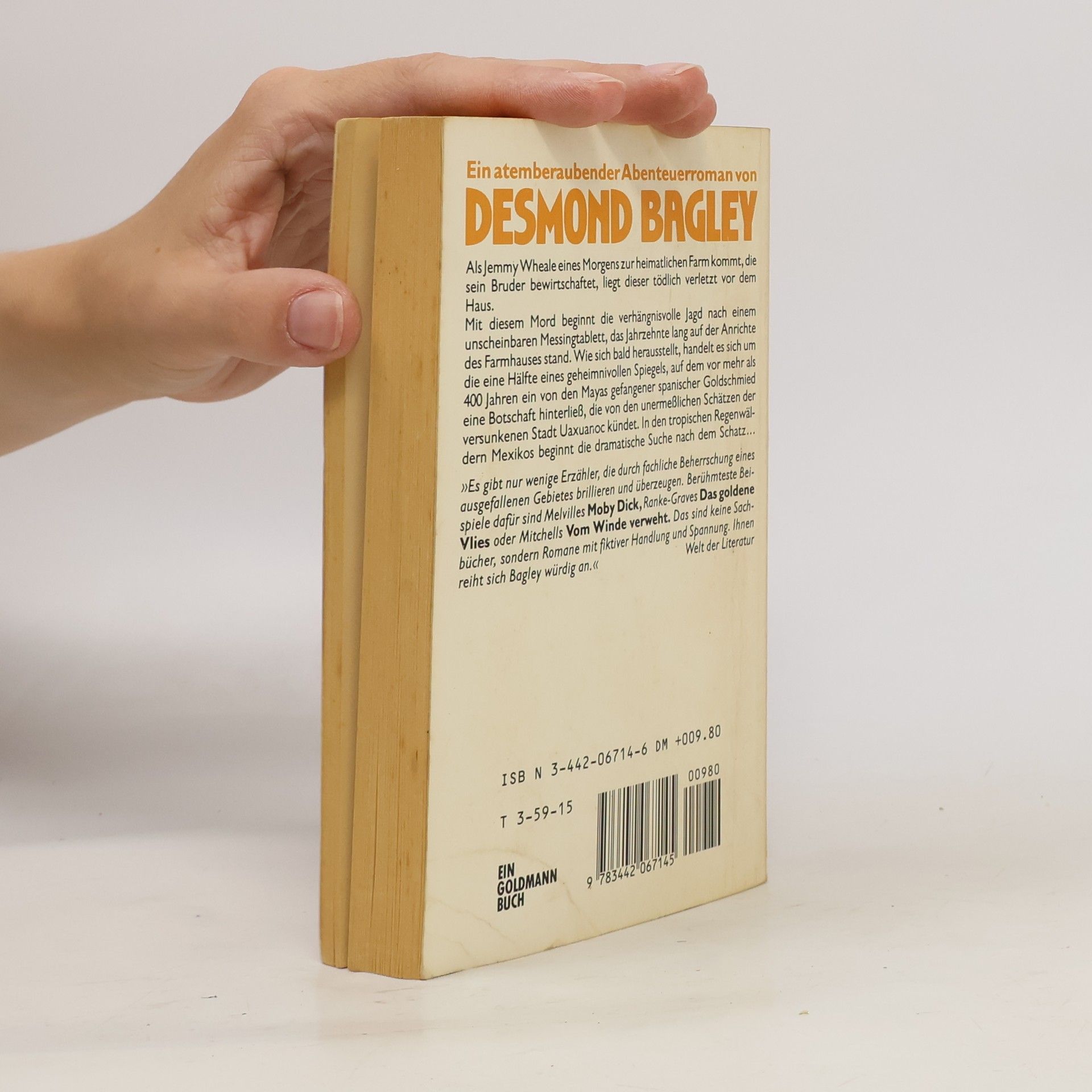 Desmond Bagley Die verhängnisvolle Botschaft