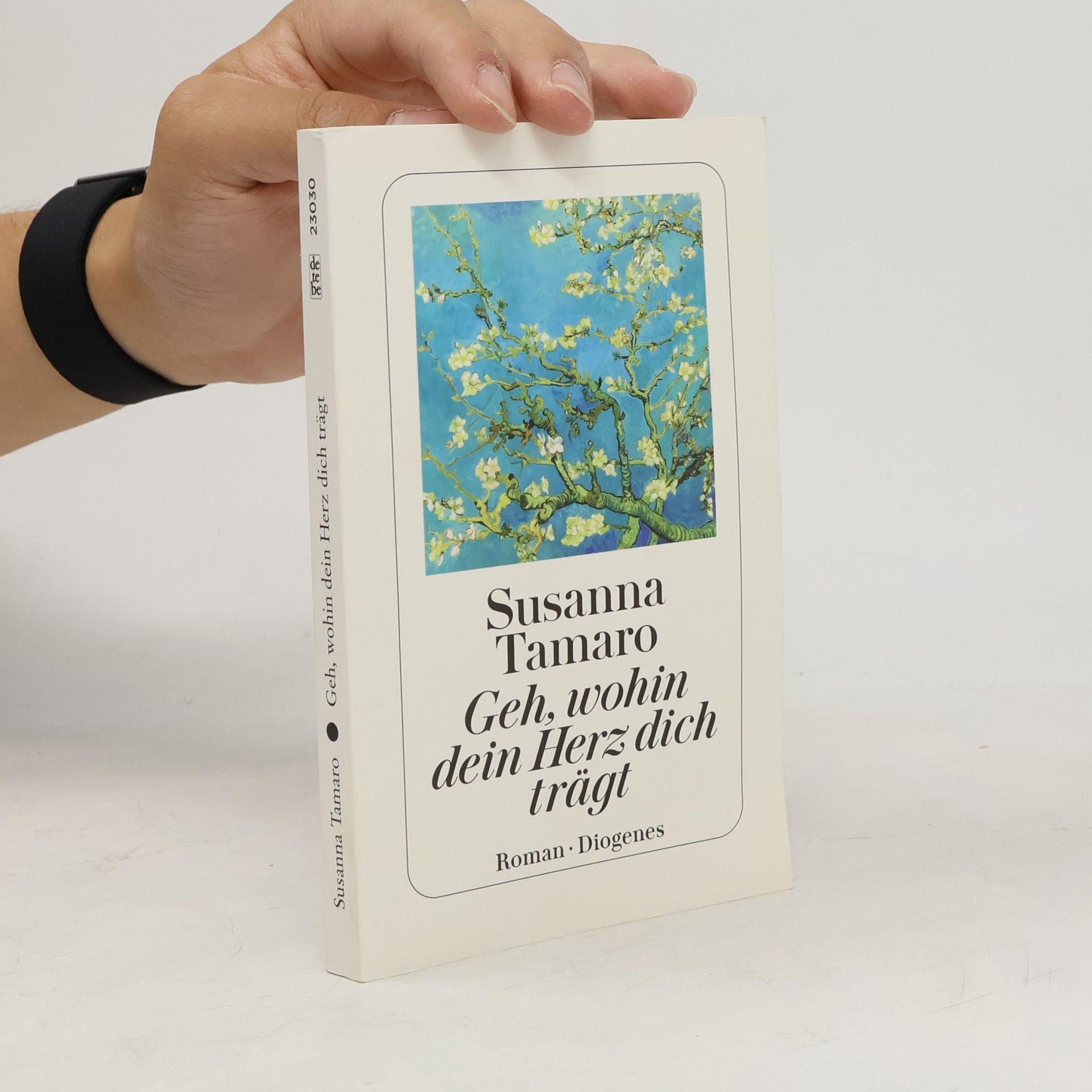 Susanna Tamaro Geh, wohin dein Herz dich trägt