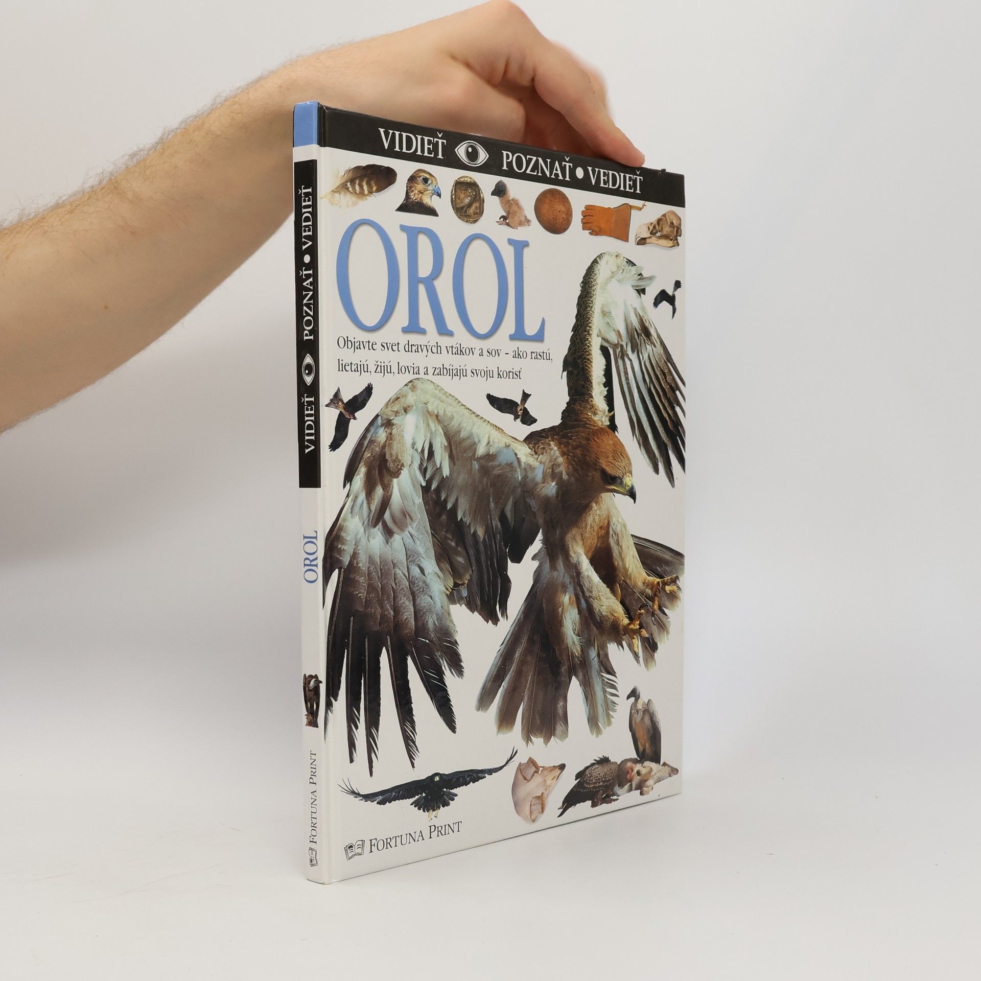 Orol