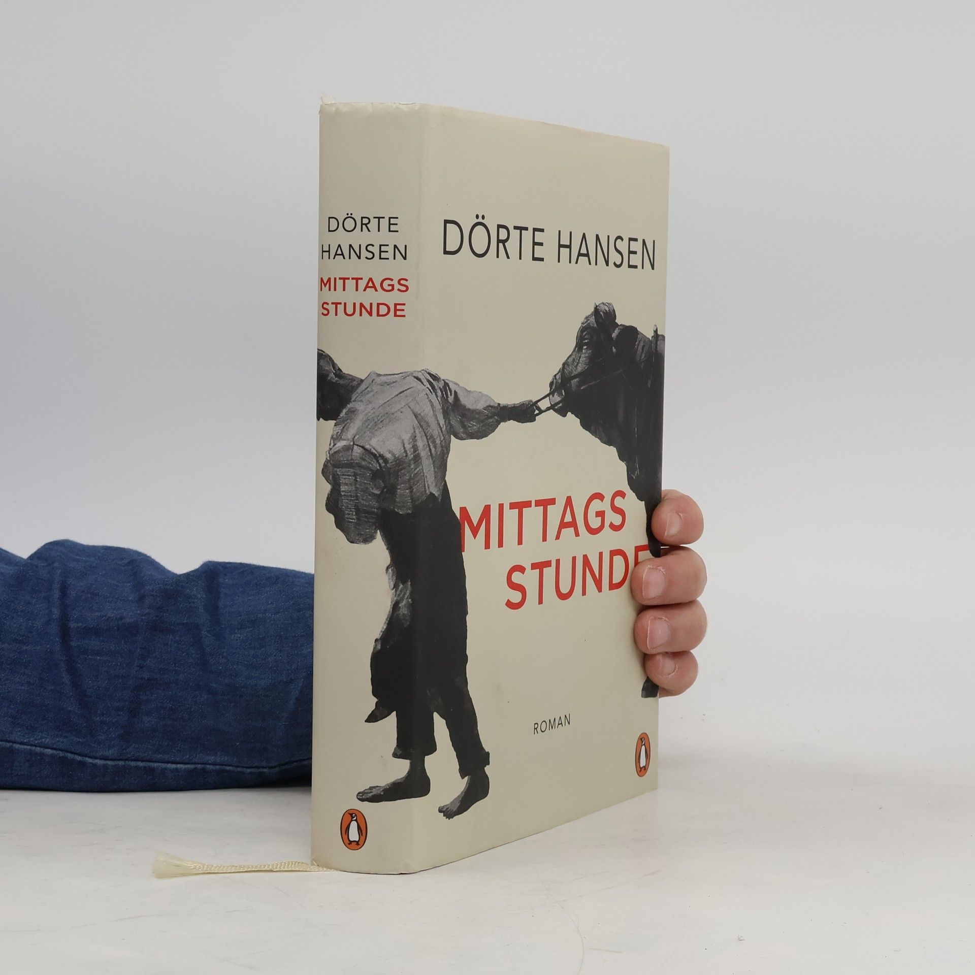 Dörte Hansen Mittagsstunde
