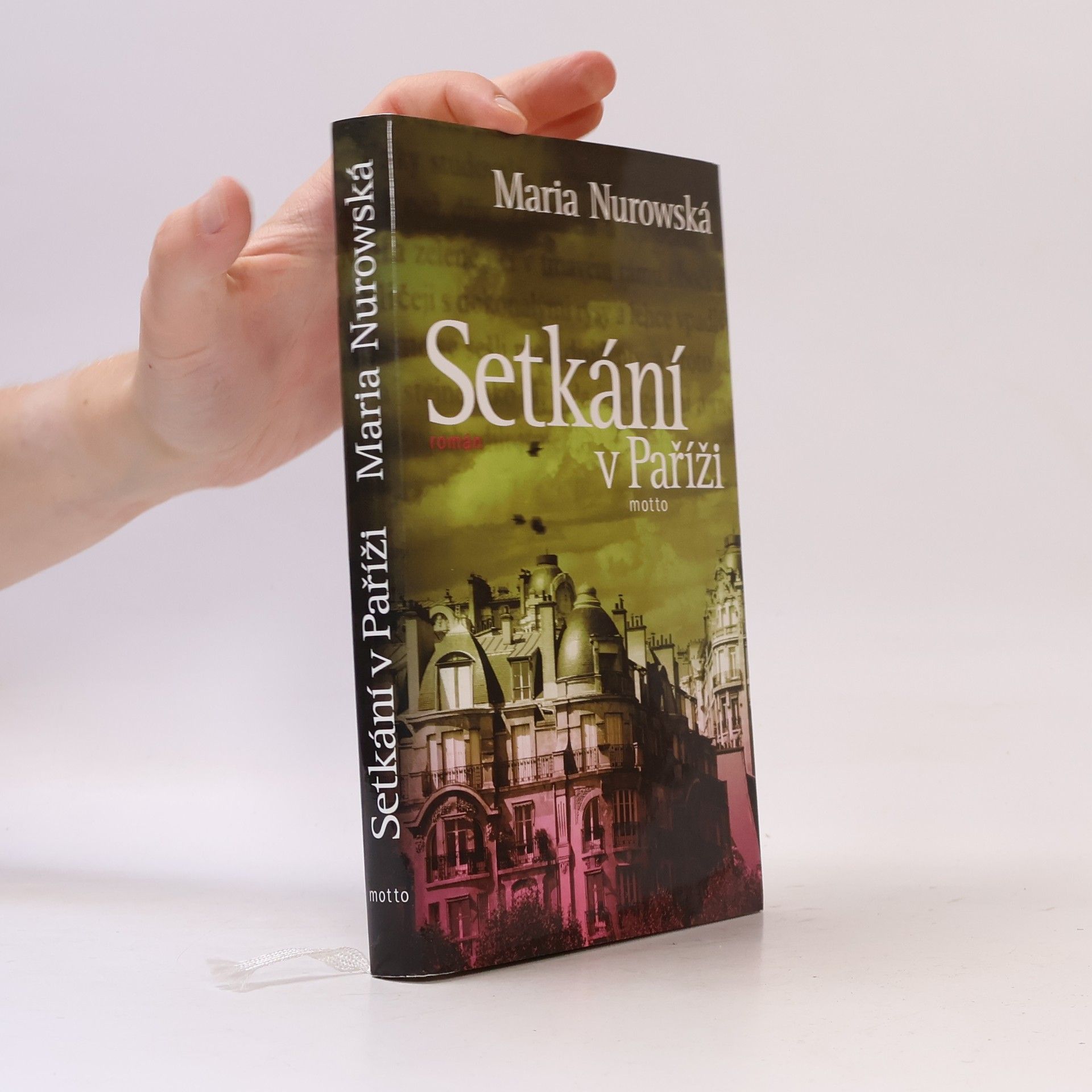 Maria Nurowska Setkání v Paříži