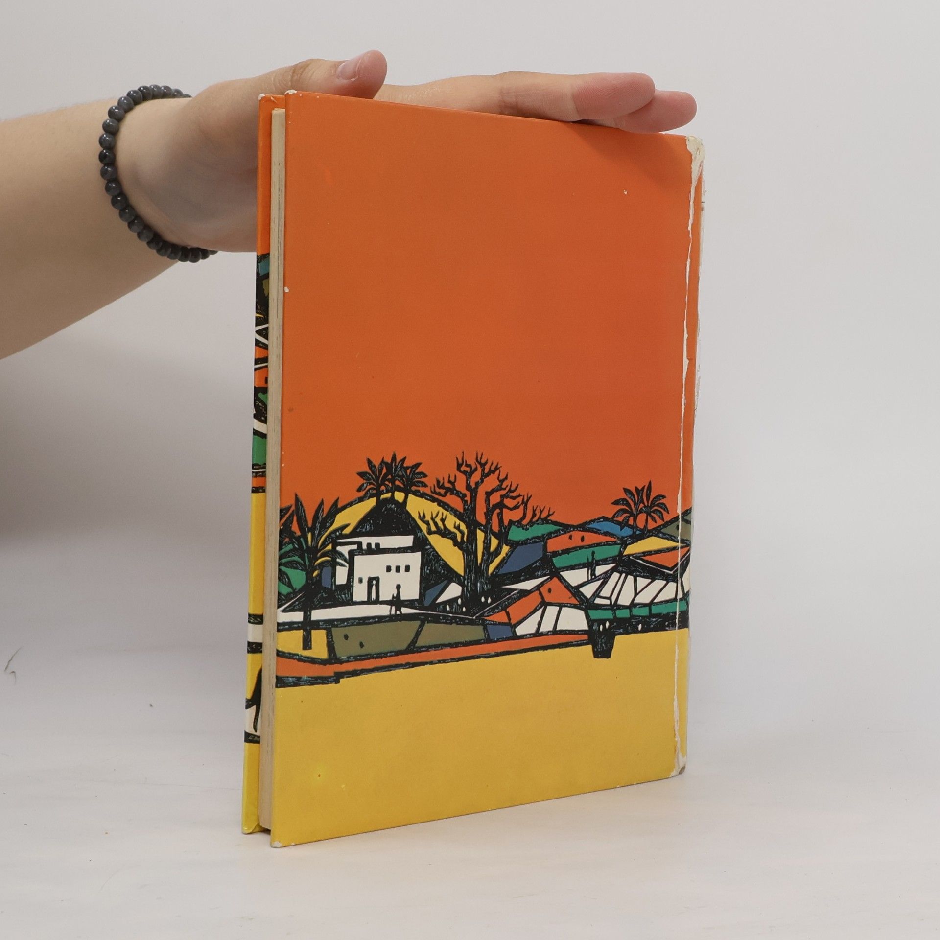 Anne de Vries Biblia pre deti