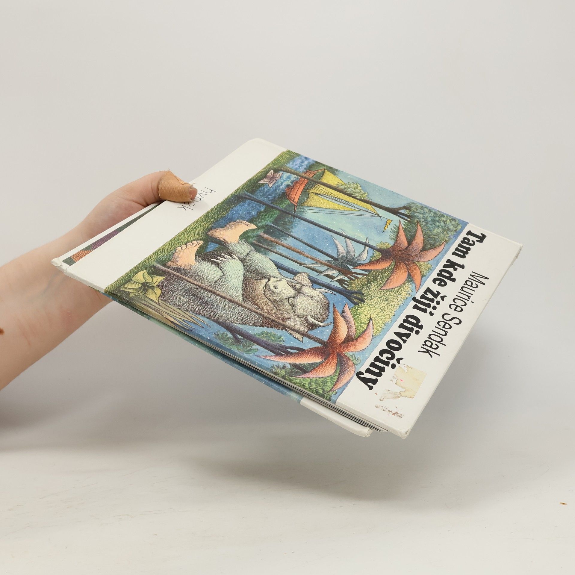 Maurice Sendak Tam kde žijí divočiny