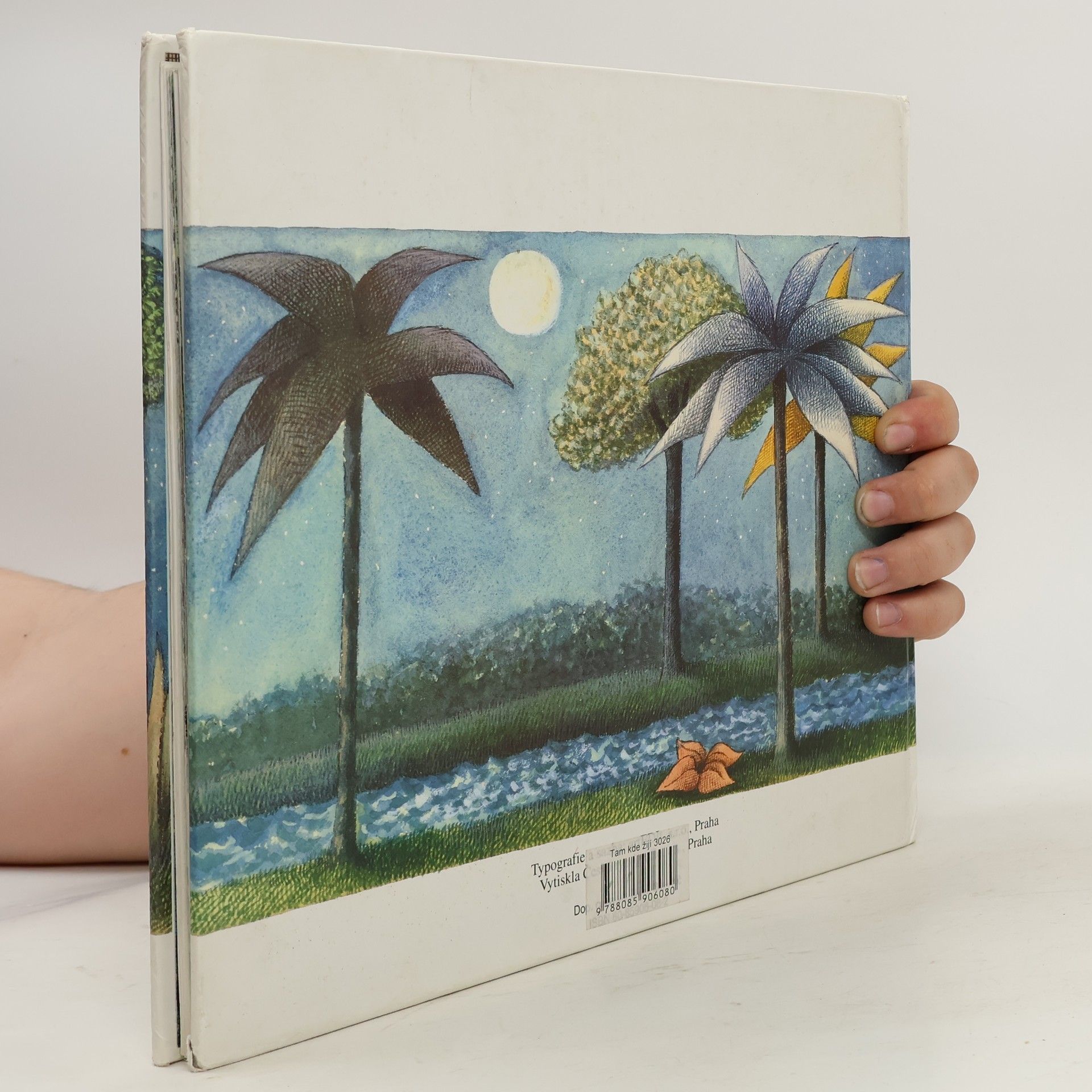 Maurice Sendak Tam kde žijí divočiny