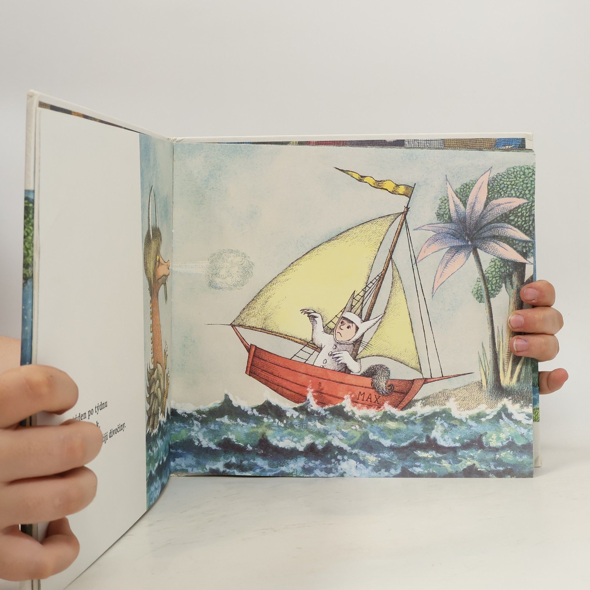 Maurice Sendak Tam kde žijí divočiny