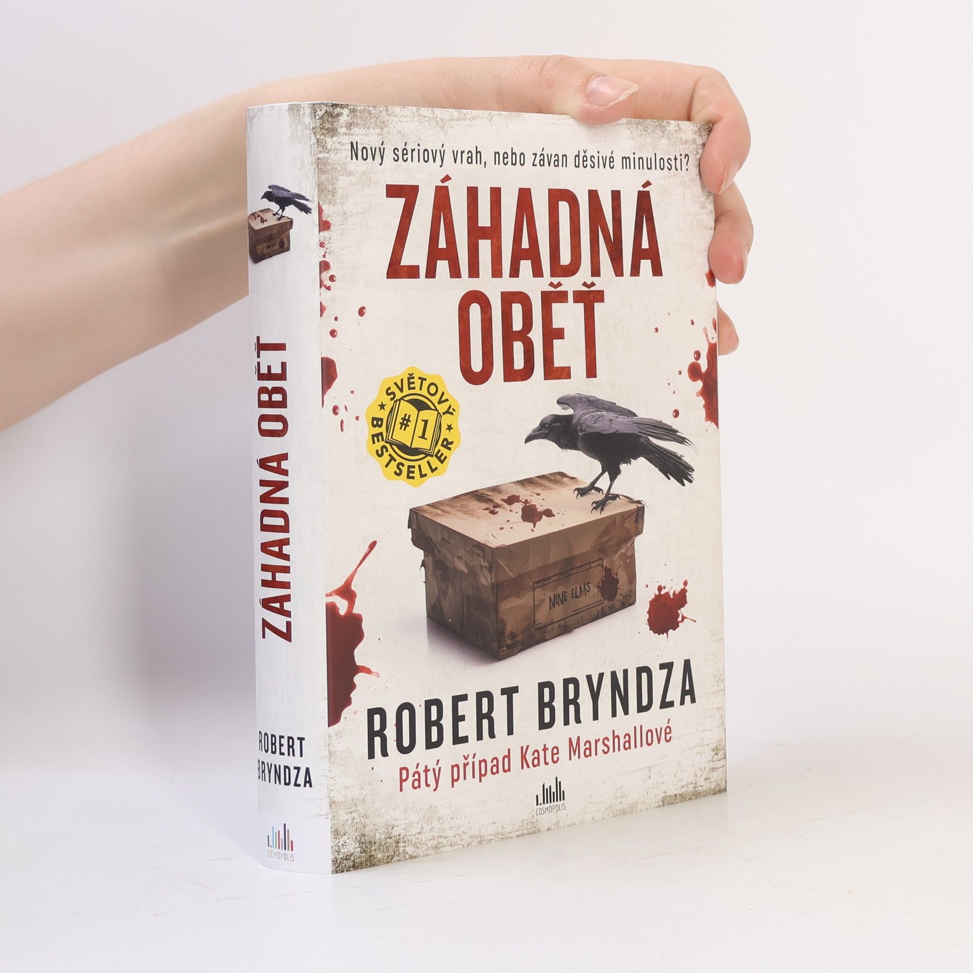 Robert Bryndza Záhadná oběť