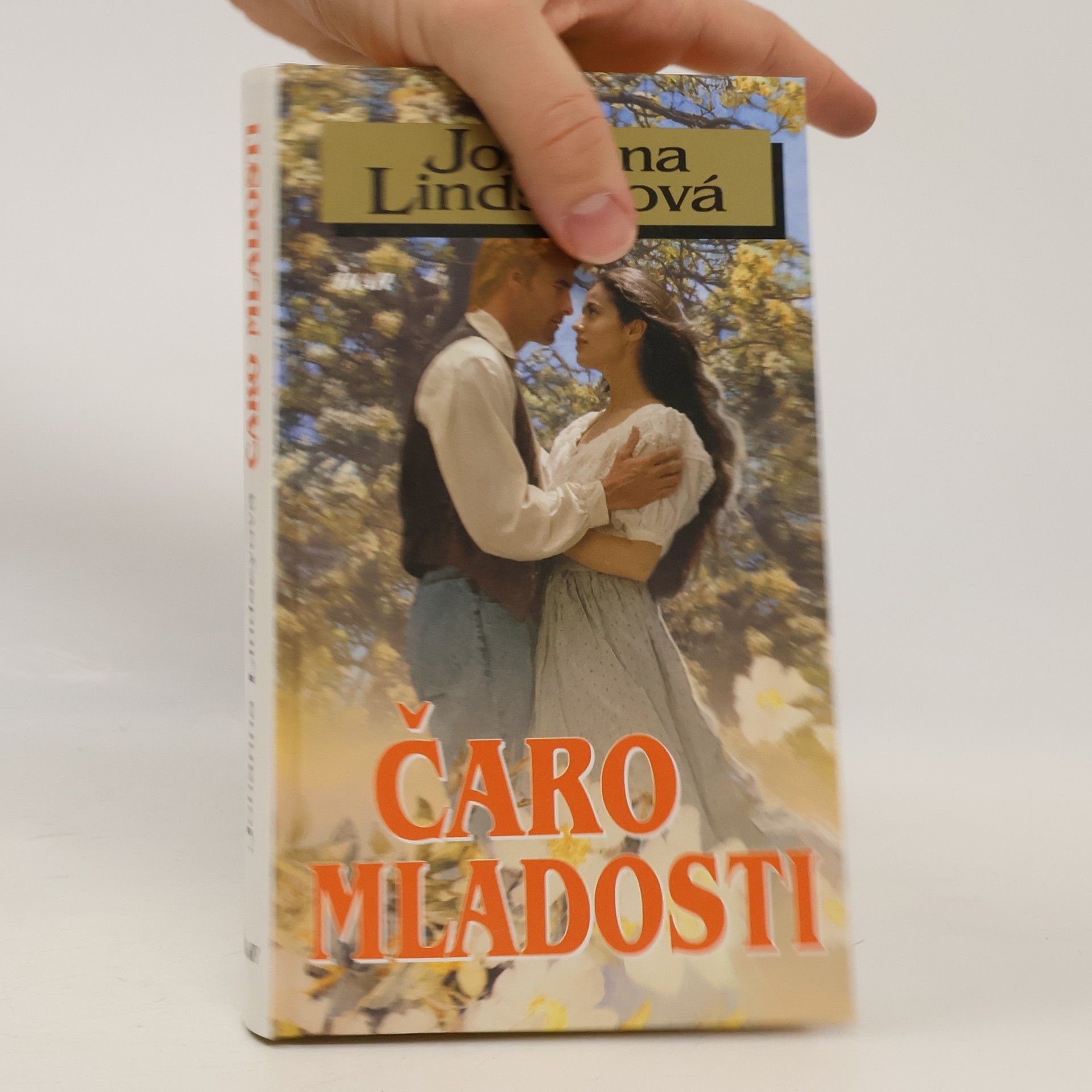 Johanna Lindsey Čaro mladosti