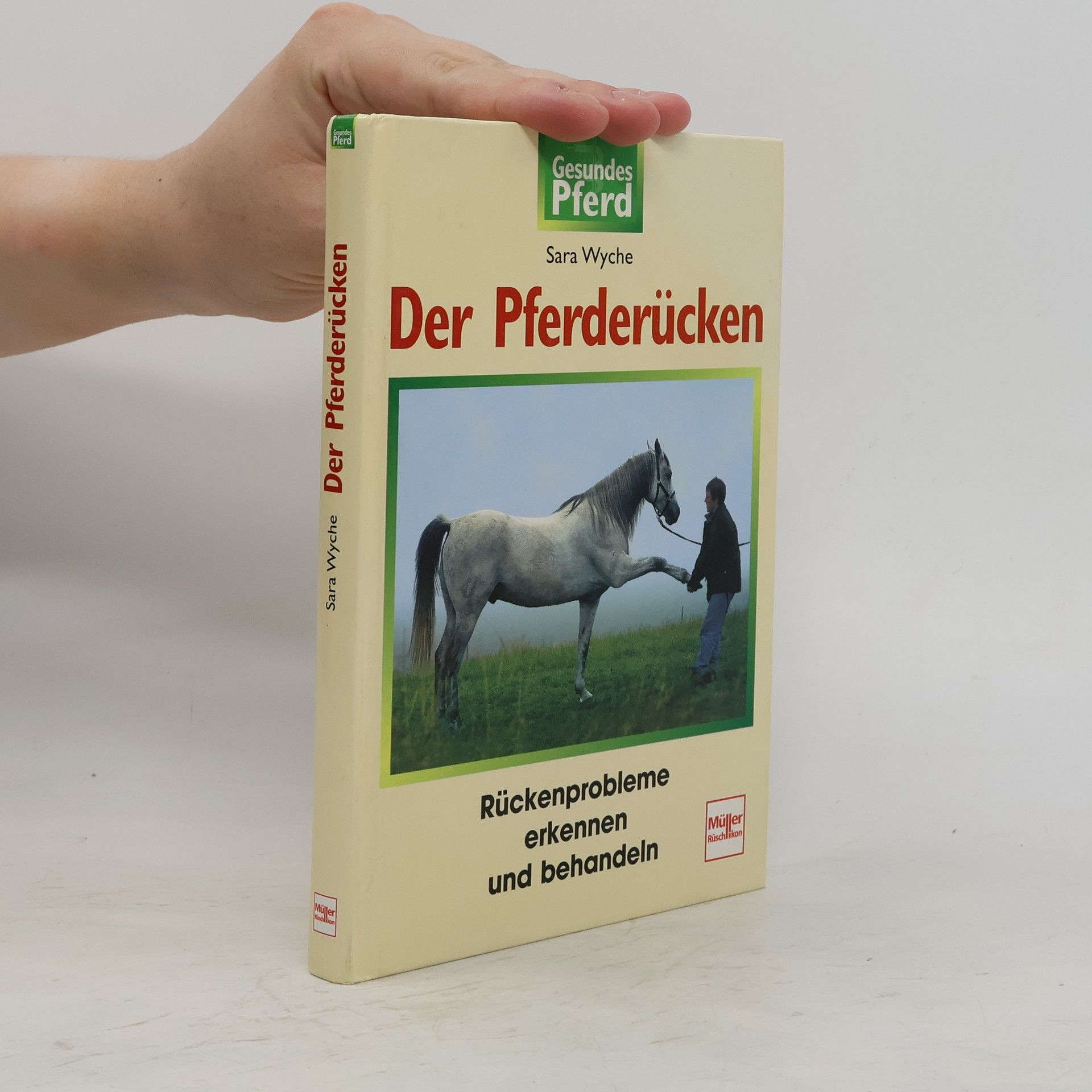 Sara Wyche Der Pferderücken