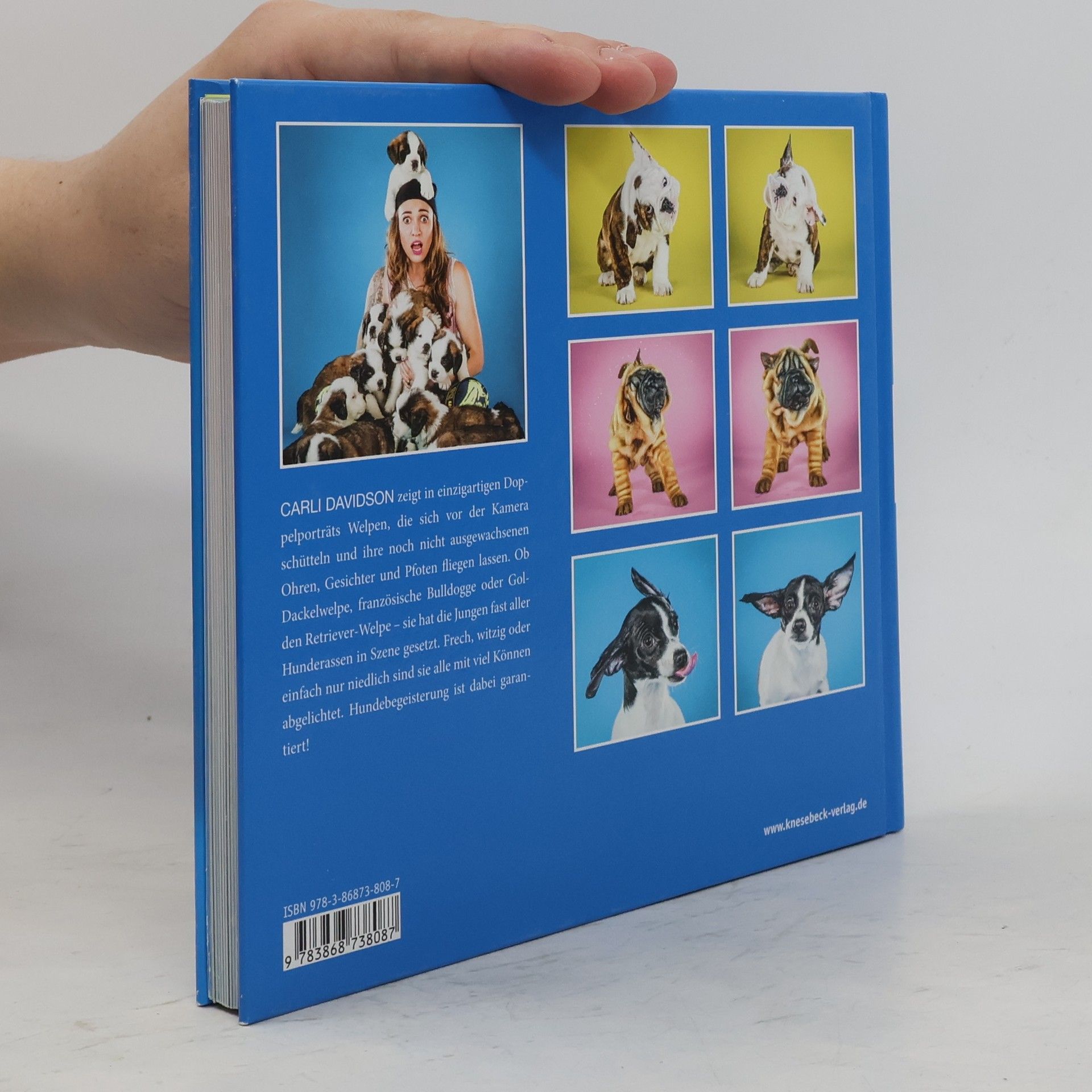 Carli Davidson Shake – Hundebabys schütteln sich