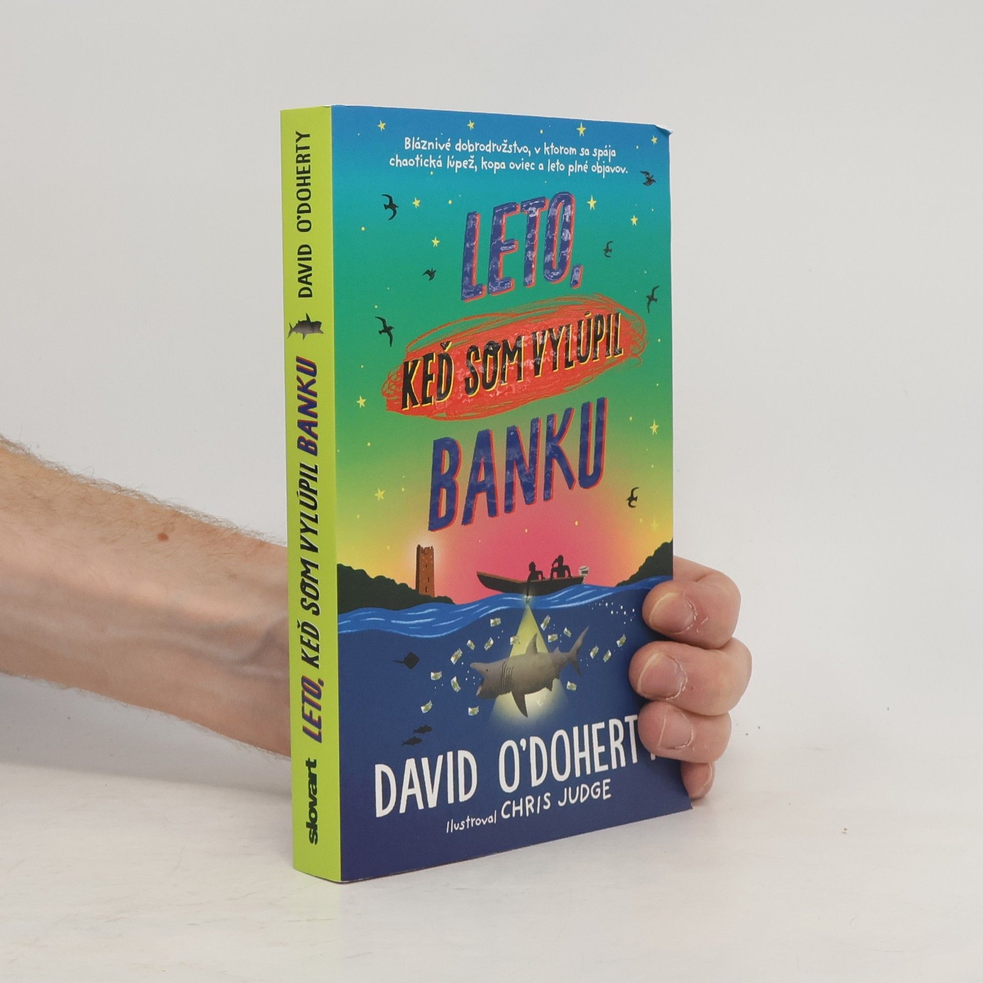 David O'Doherty Leto, keď som vylúpil banku