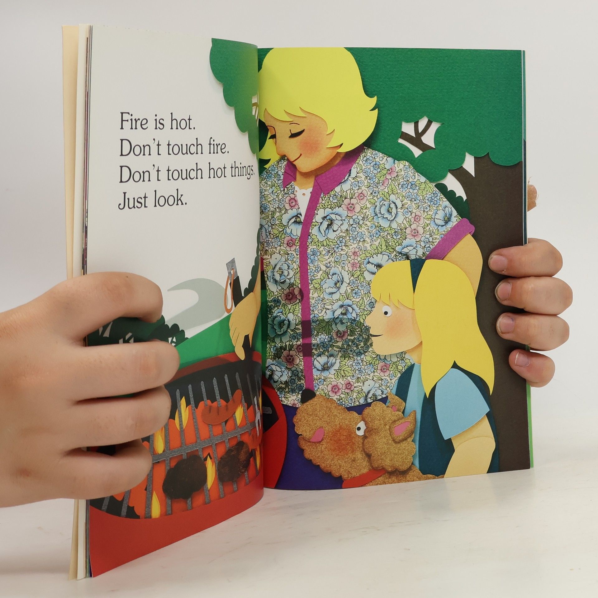 Jean Marzollo Hello Reader Science - 1: I Am Fire