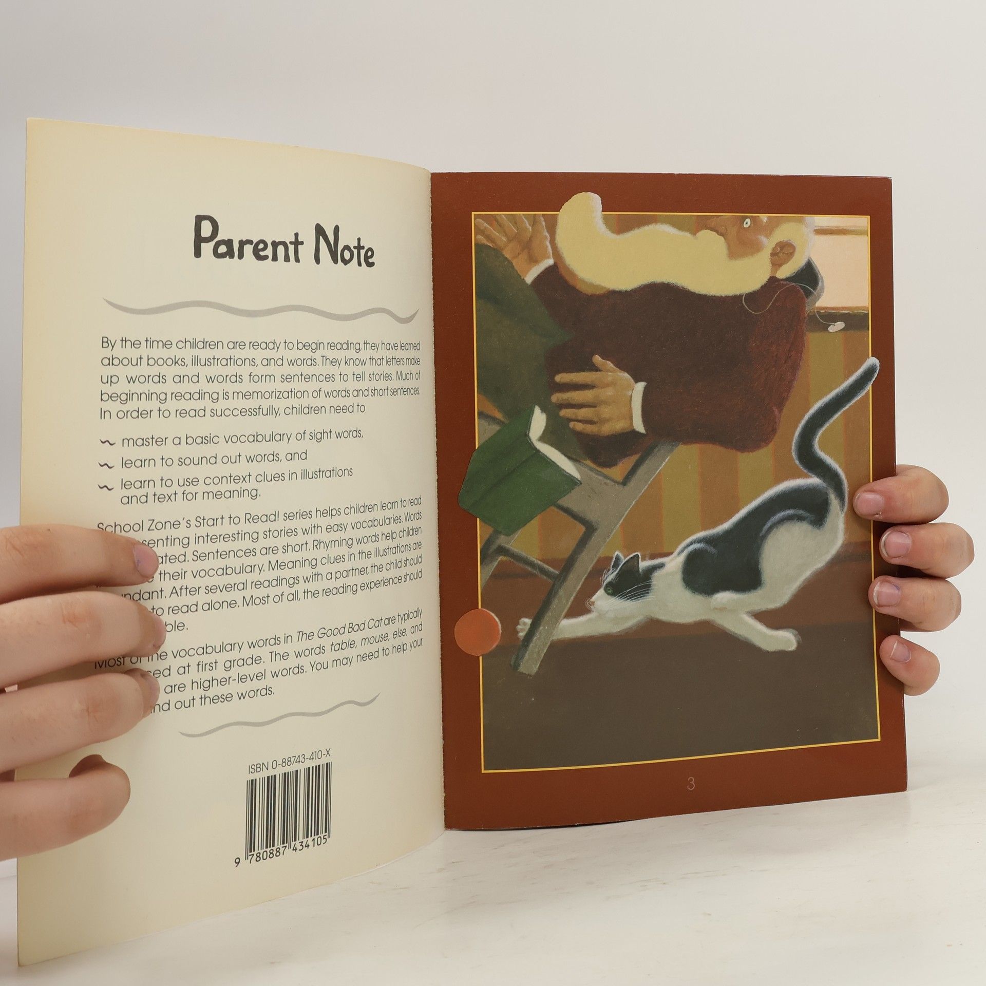 Nancy Antle School Zone Start to Read Book - 1: The Good Bad Cat