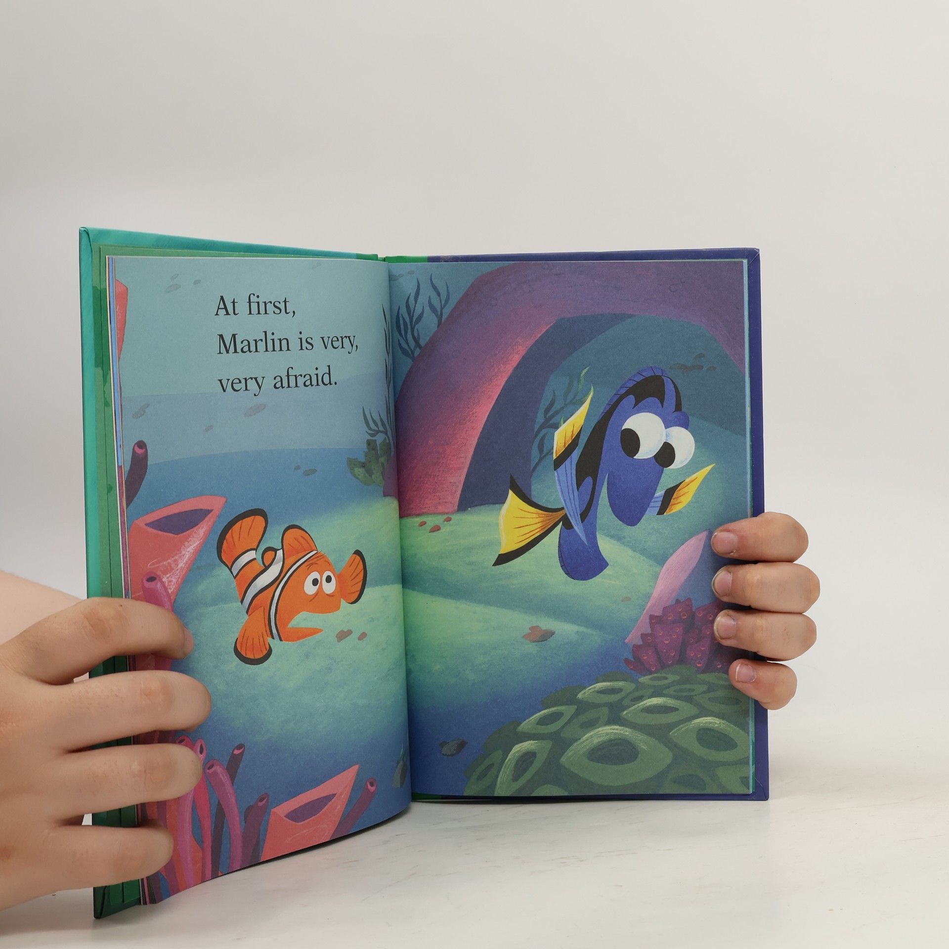 Amy J. Tyler Finding Nemo. Best Dad in the Sea