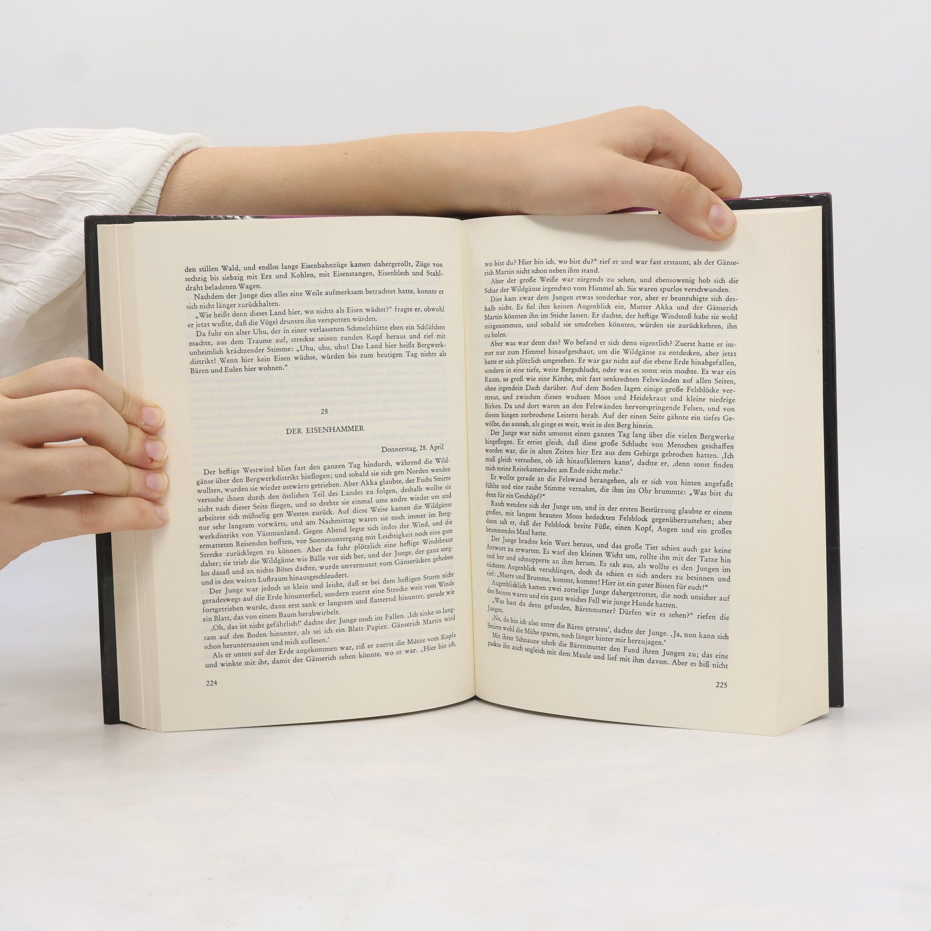 Selma Lagerlöf Wunderbare Reise