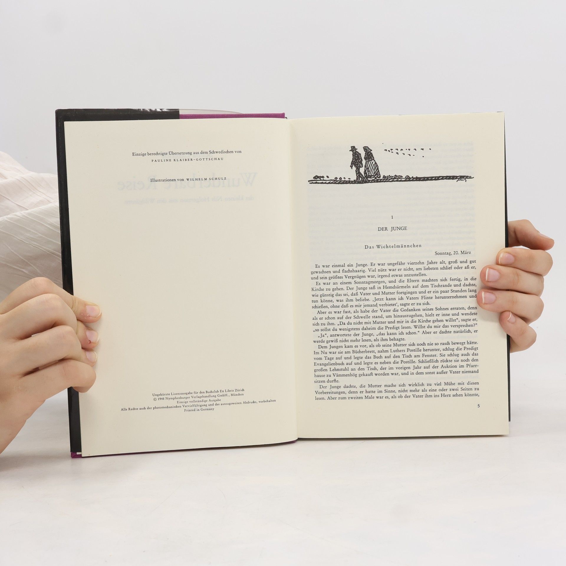 Selma Lagerlöf Wunderbare Reise