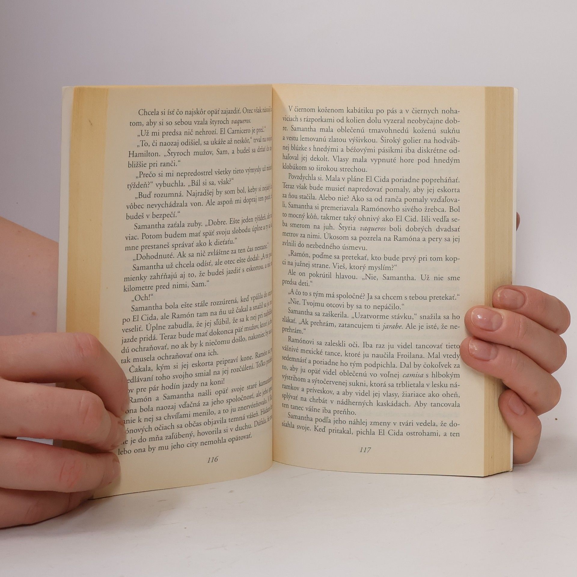 Johanna Lindsey Búrlivé srdce