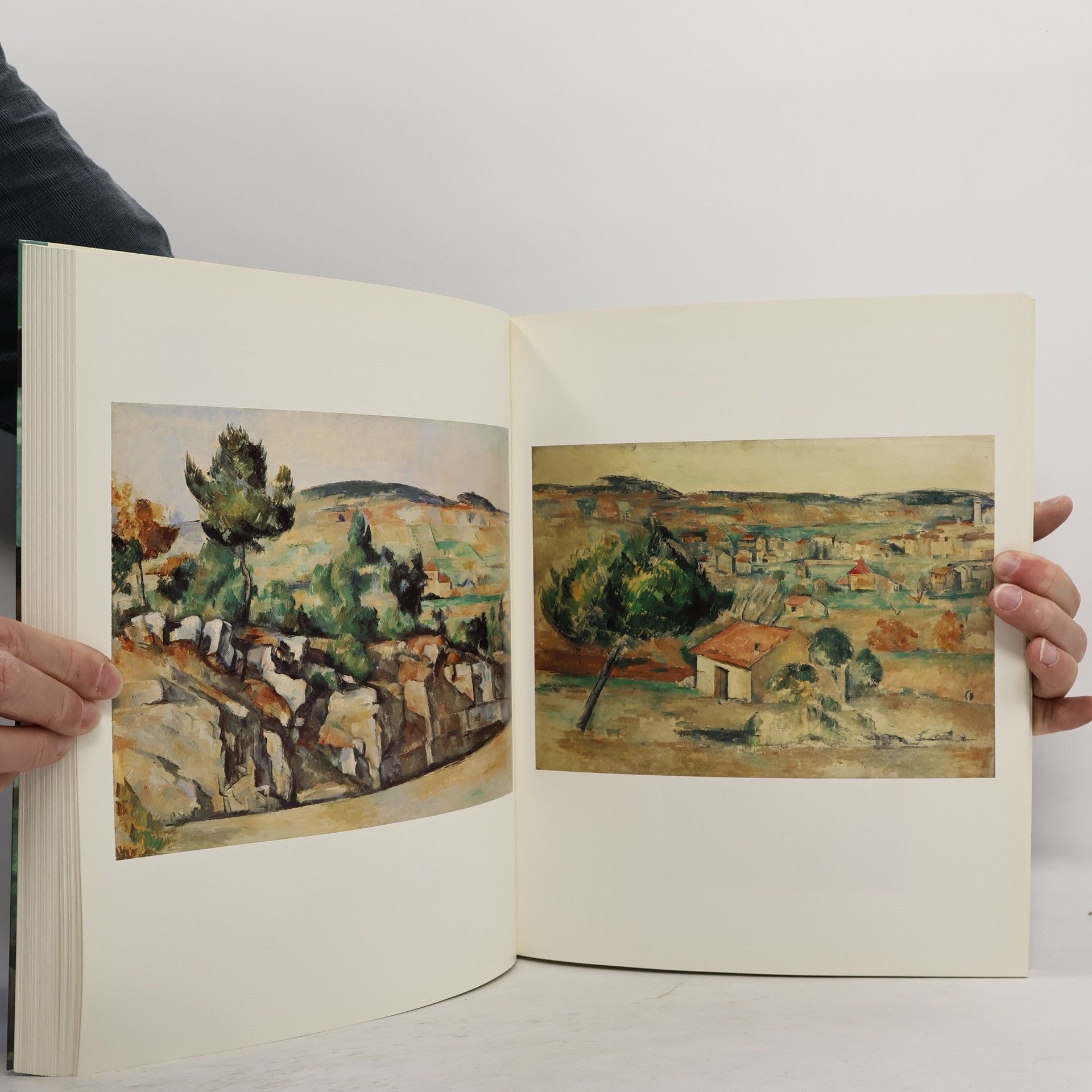Walter Feilchenfeldt Cezanne. Gemälde