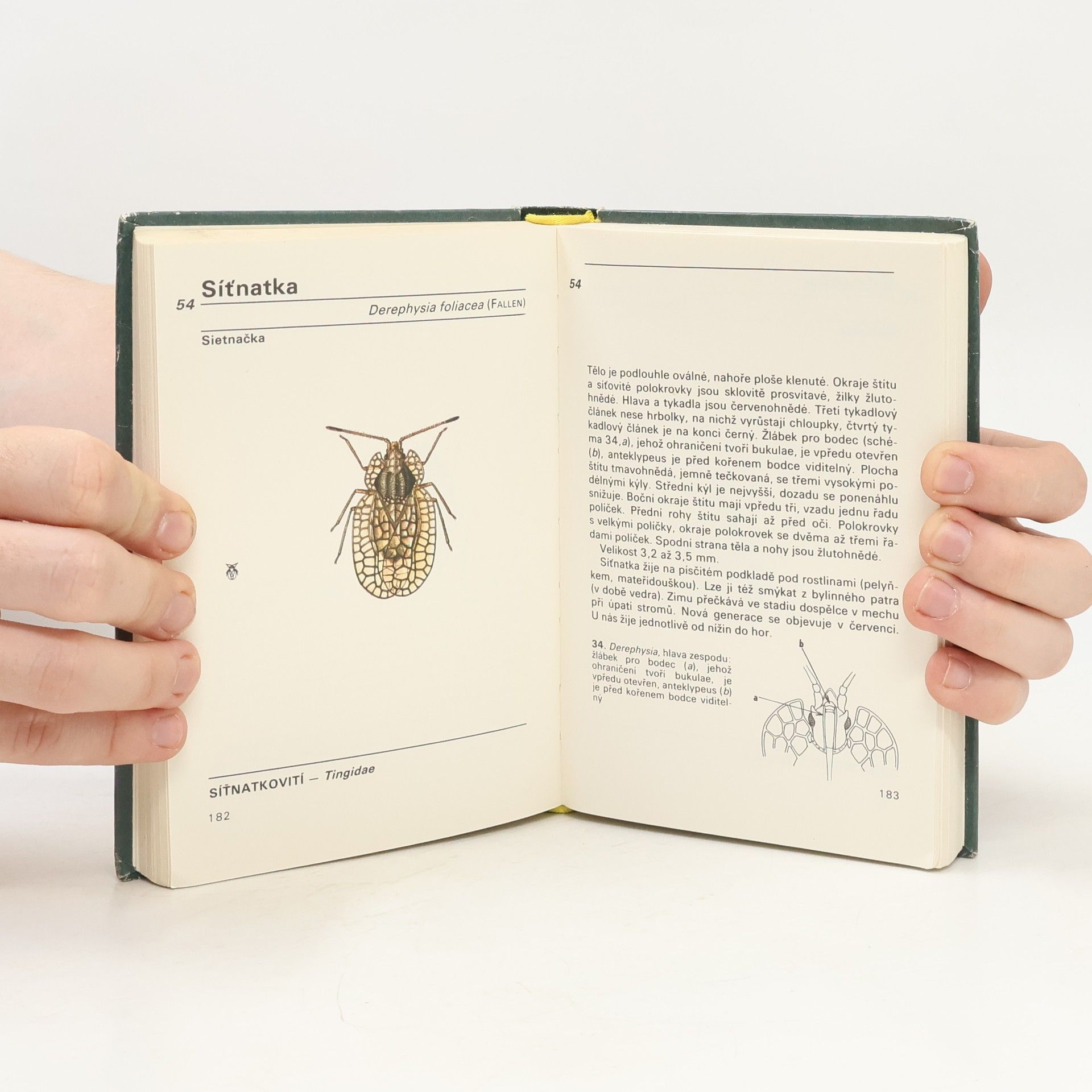 Vladimír Javorek Kapesní atlas ploštic a křísů