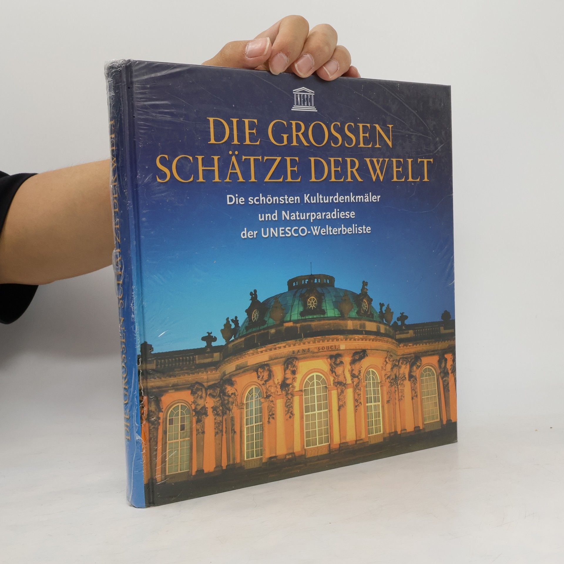 Kolektiv autorů Die Grossen Schätze der Welt