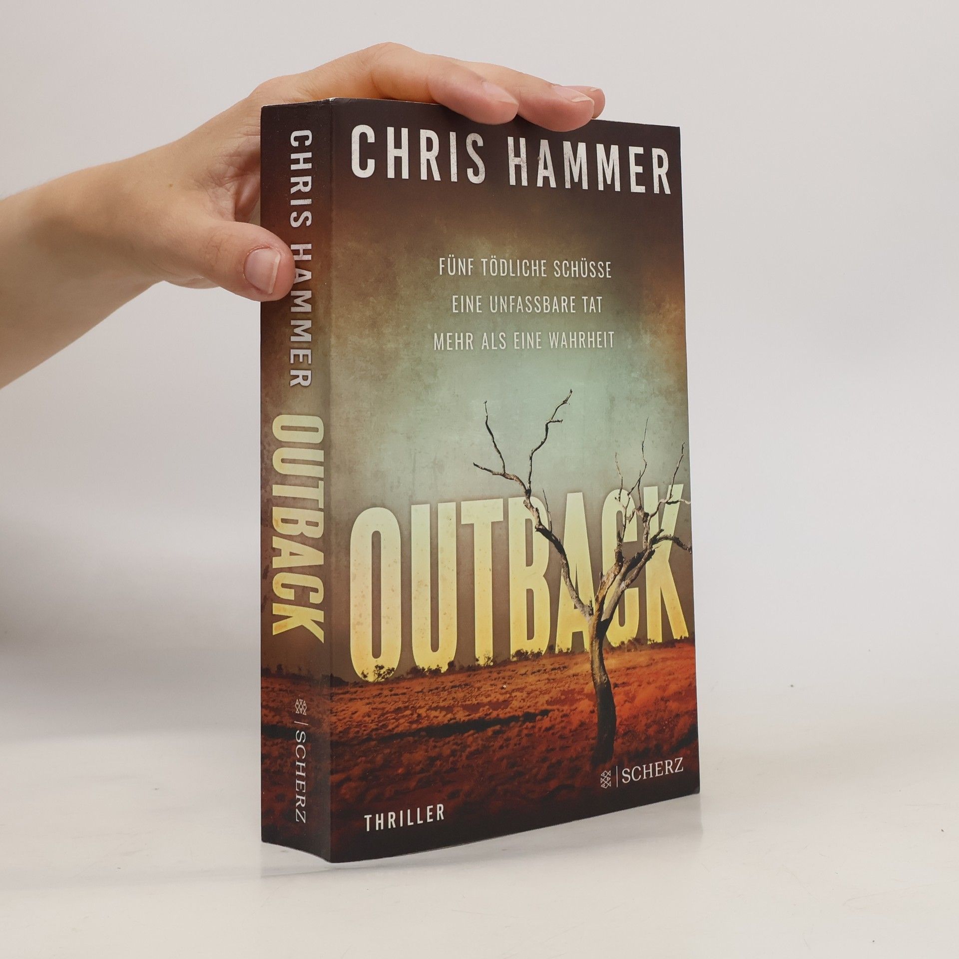 Chris Hammer Outback