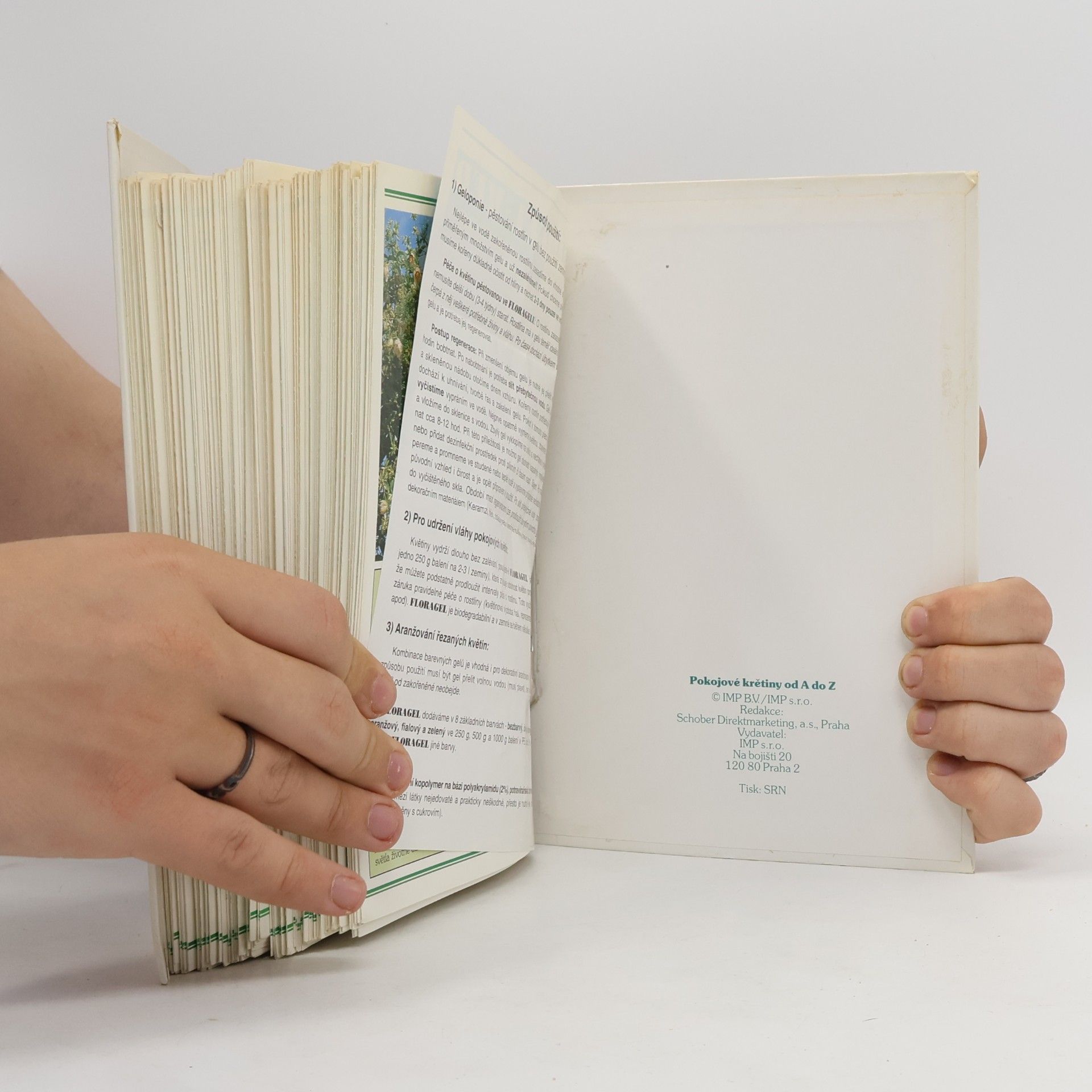 Collectif d'auteurs Pokojové květiny od A do Z