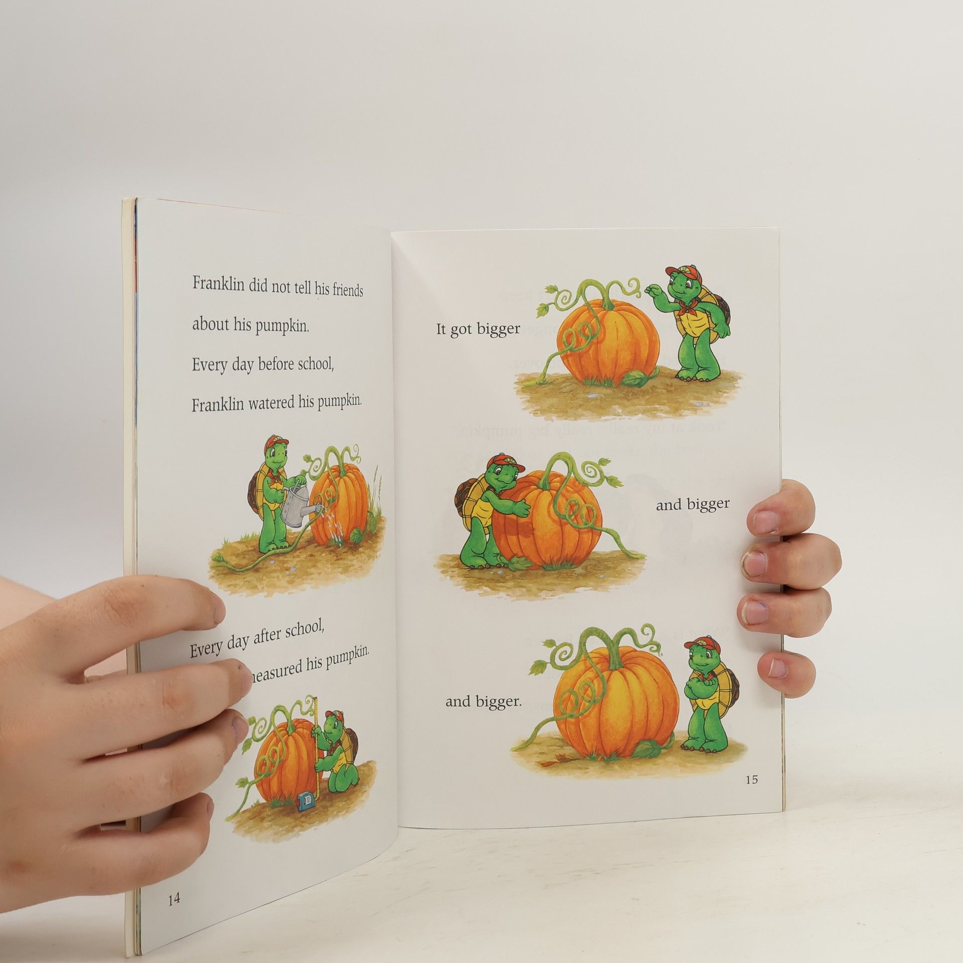 Sharon Jennings Franklin's Pumpkin
