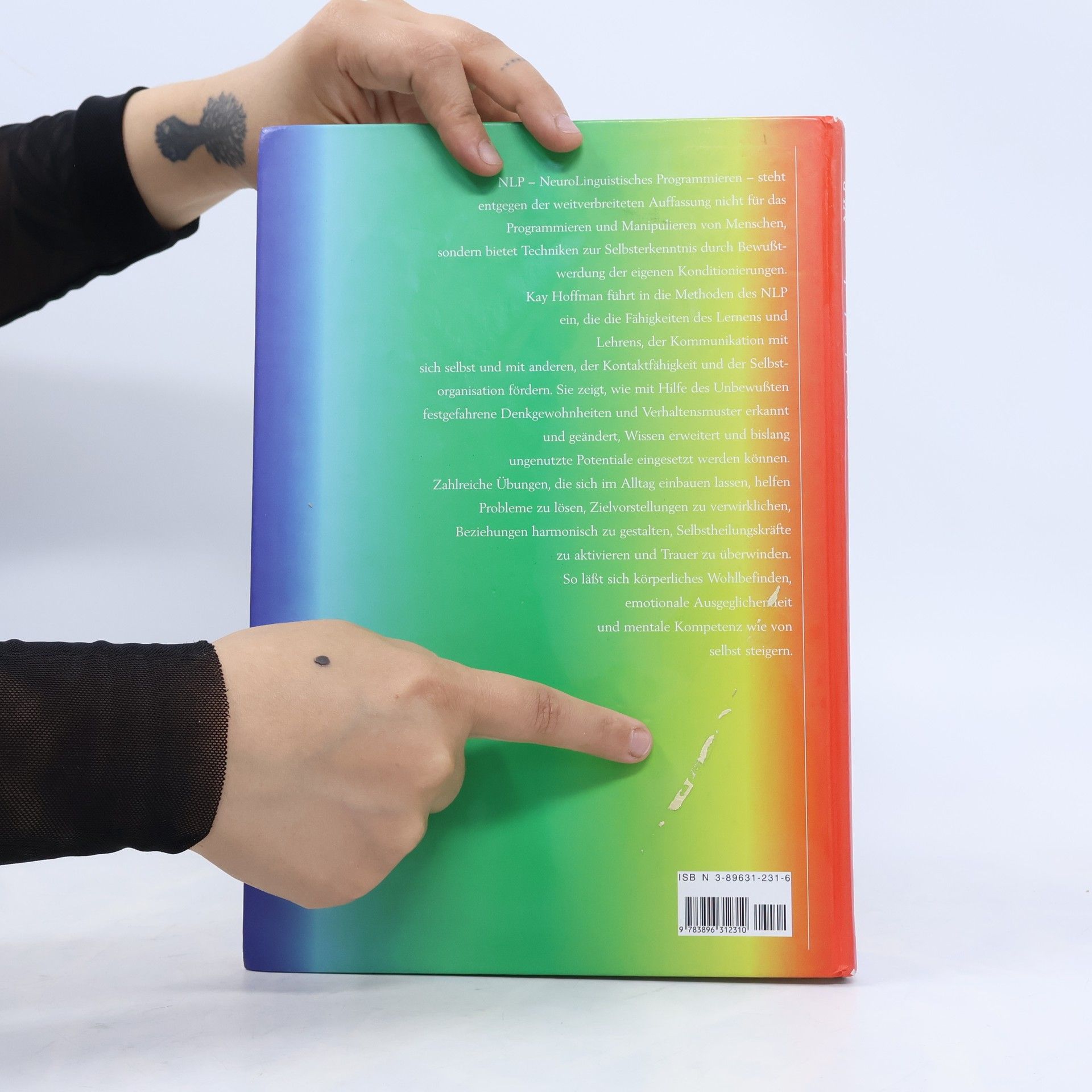 Kay Hoffman Das Arbeitsbuch zum NLP