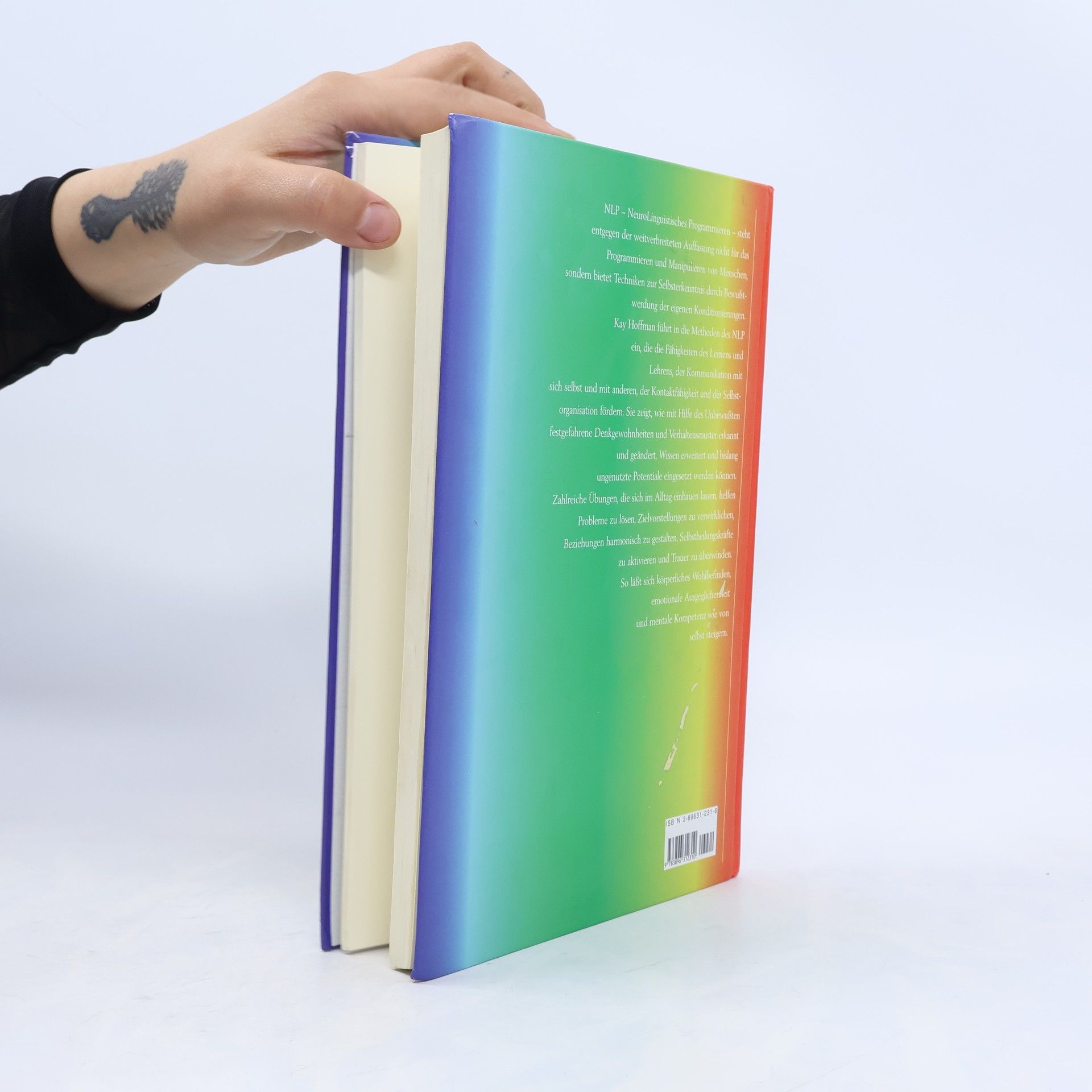Kay Hoffman Das Arbeitsbuch zum NLP
